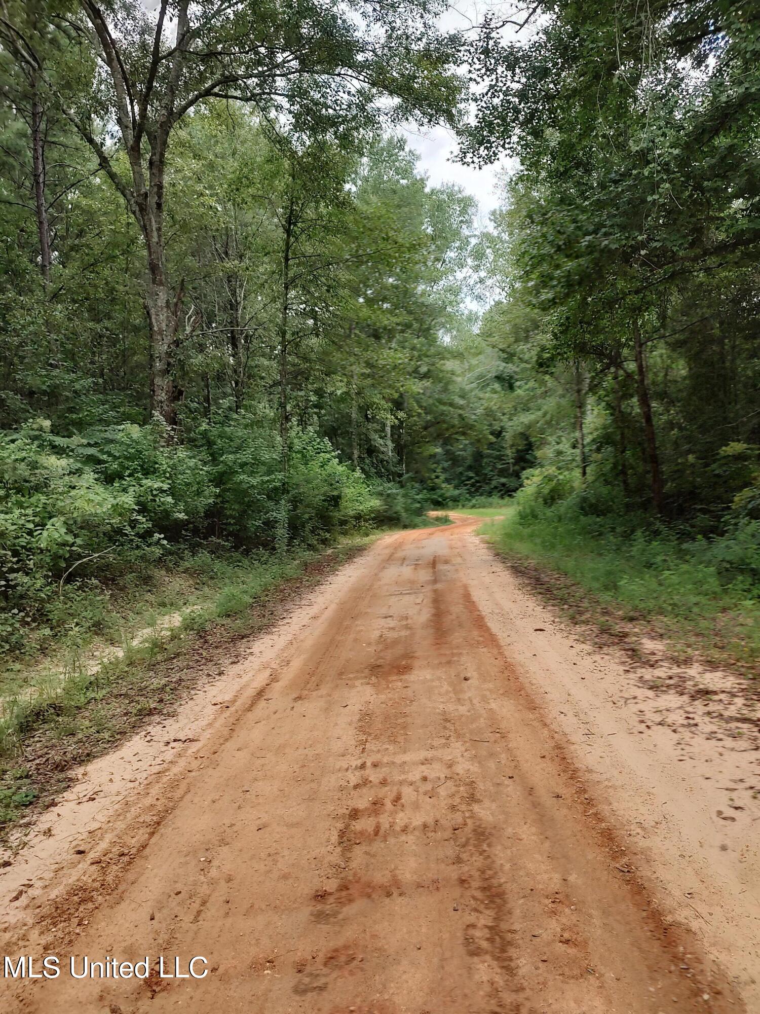 Lakeshore Drive, Lumberton, Mississippi image 2