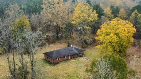 Homes For Sale - 564 Virgin Mary Road<br/> Camden, MS 39045