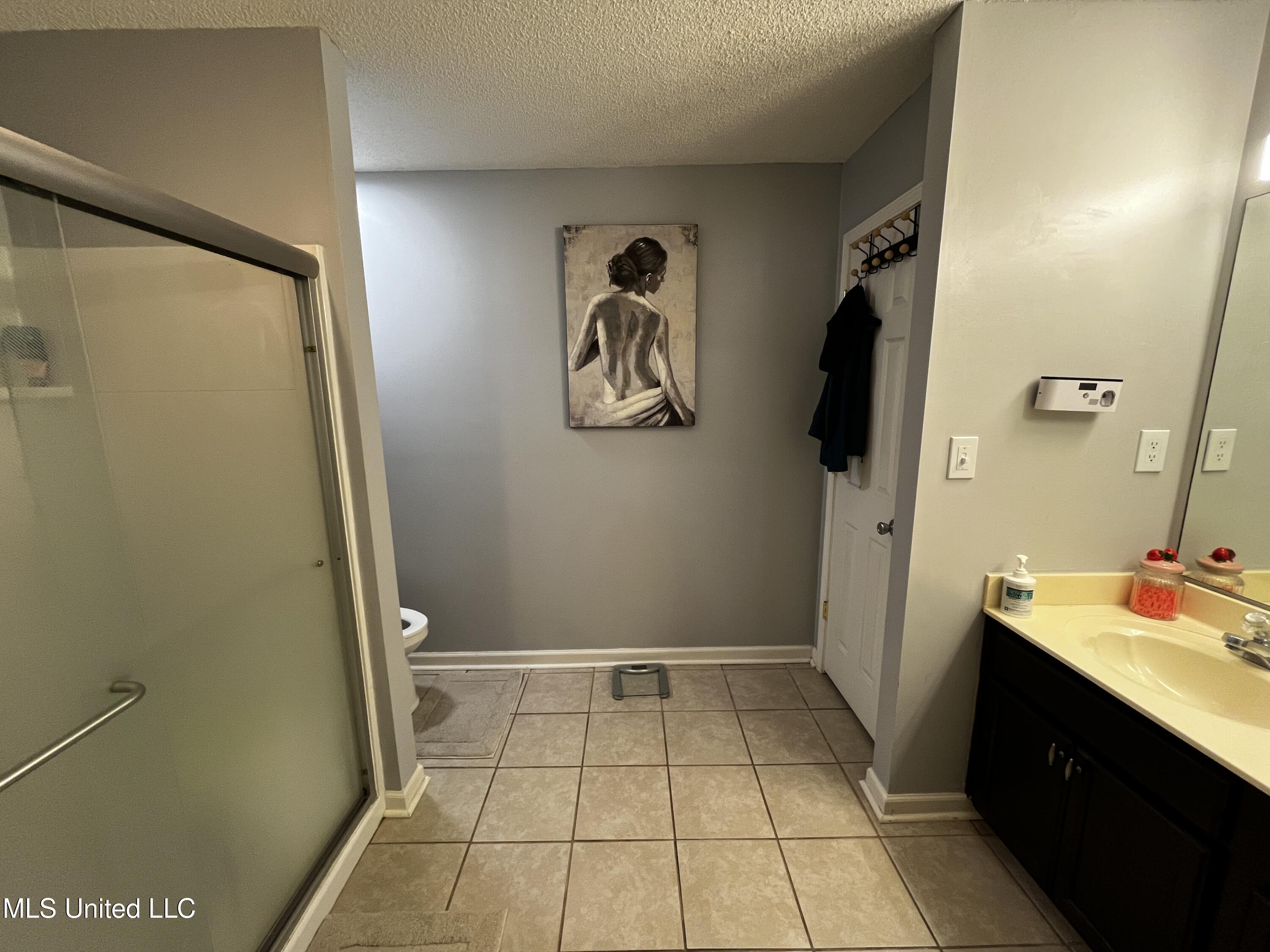 5302 Plum Tree Drive, Southaven, Mississippi image 11