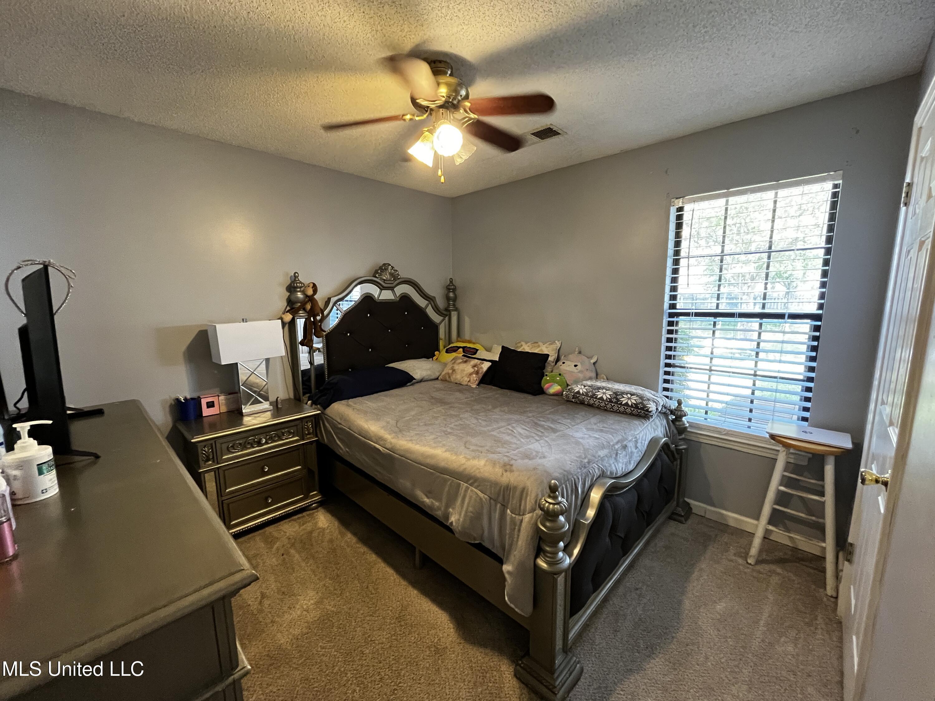 5302 Plum Tree Drive, Southaven, Mississippi image 19