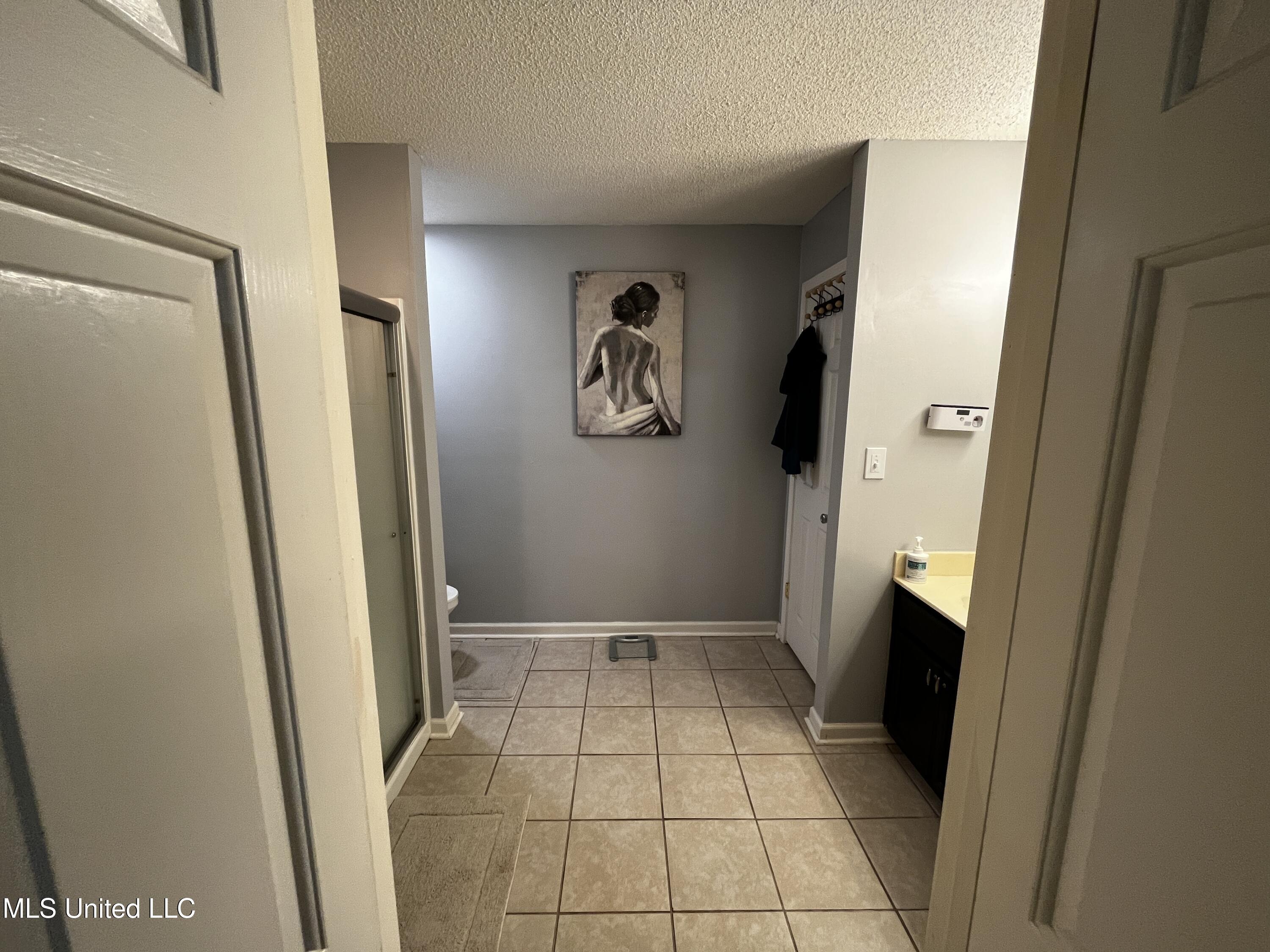 5302 Plum Tree Drive, Southaven, Mississippi image 10