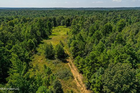 Vacant Land For Sale - 2295 Chapman Road<br/> Benton County, Falkner, MS 38629