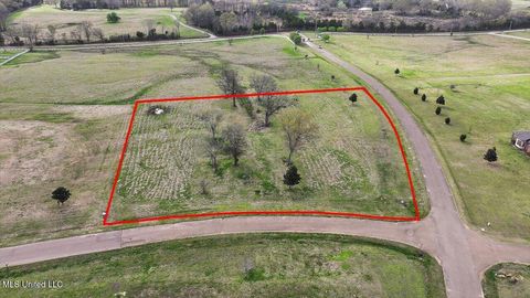 Vacant Land For Sale - Lovorn Court<br/> Flora, MS 39071