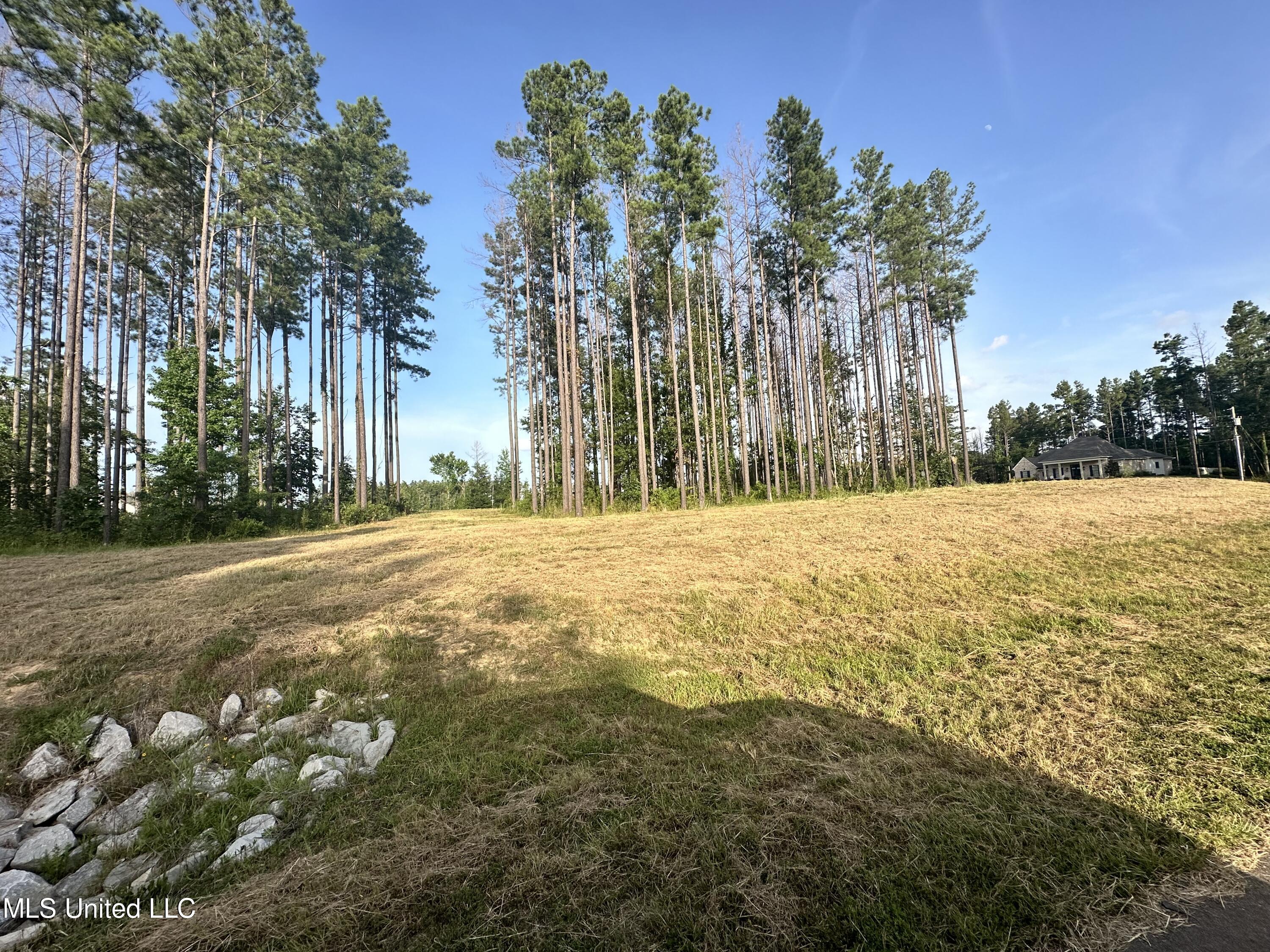 00 Honey Oak Circle, Brandon, Mississippi image 9