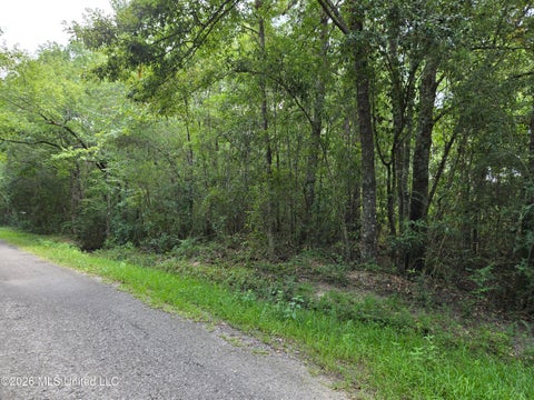 Vacant Land For Sale - Redwood Drive<br/> Pearl River County, Picayune, MS 39466
