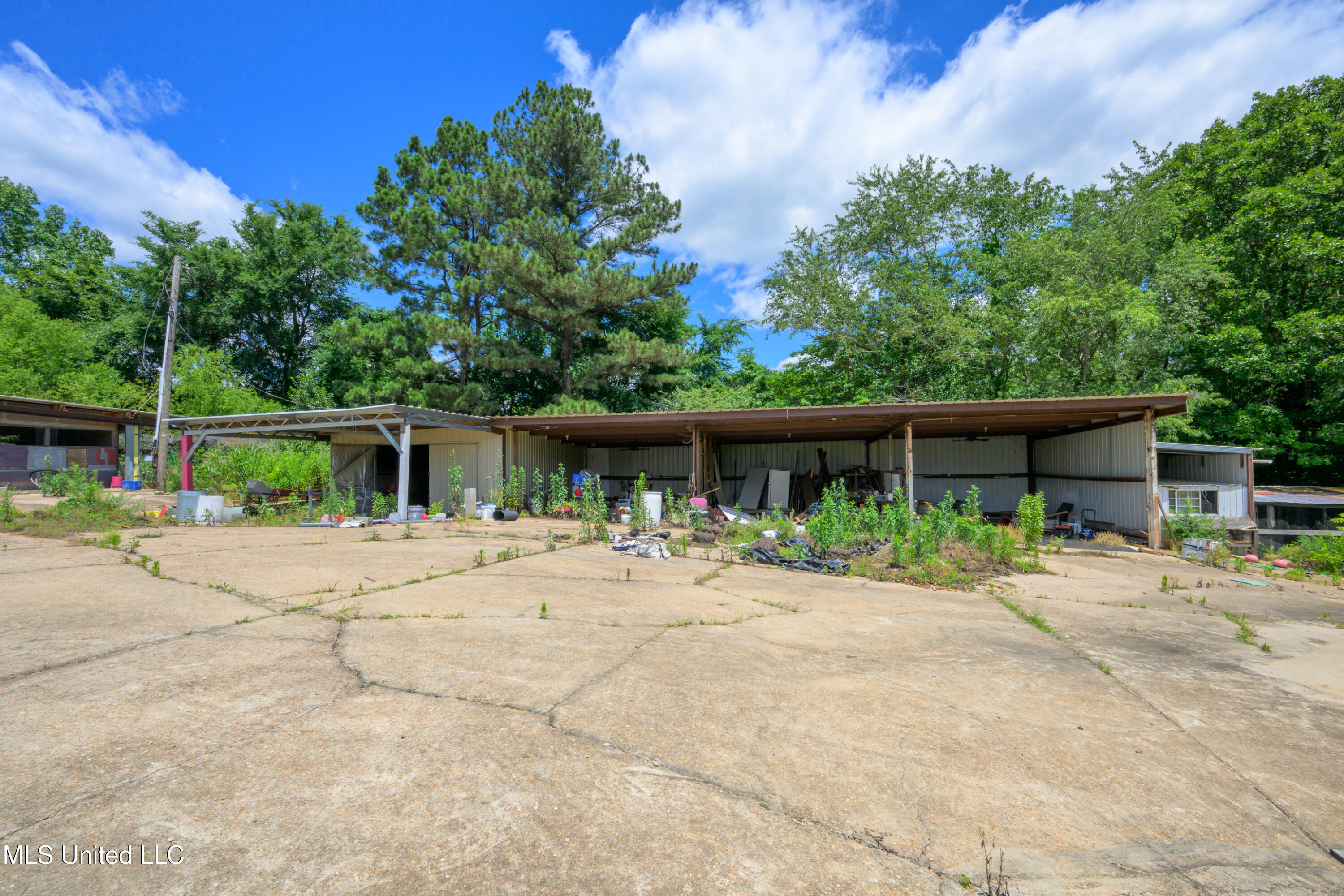 76 Peach Tree Road, Byhalia, Mississippi image 49