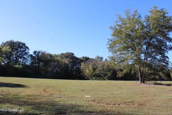 ADDRESS PRIVATE, COMO, MS 38619 - Image fa2f8191be964bfffdbd6de87c060dcc/811910994