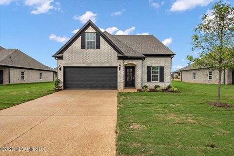 Homes For Sale - 13854 Molly Madeline Lane<br/> Olive Branch, MS 38654