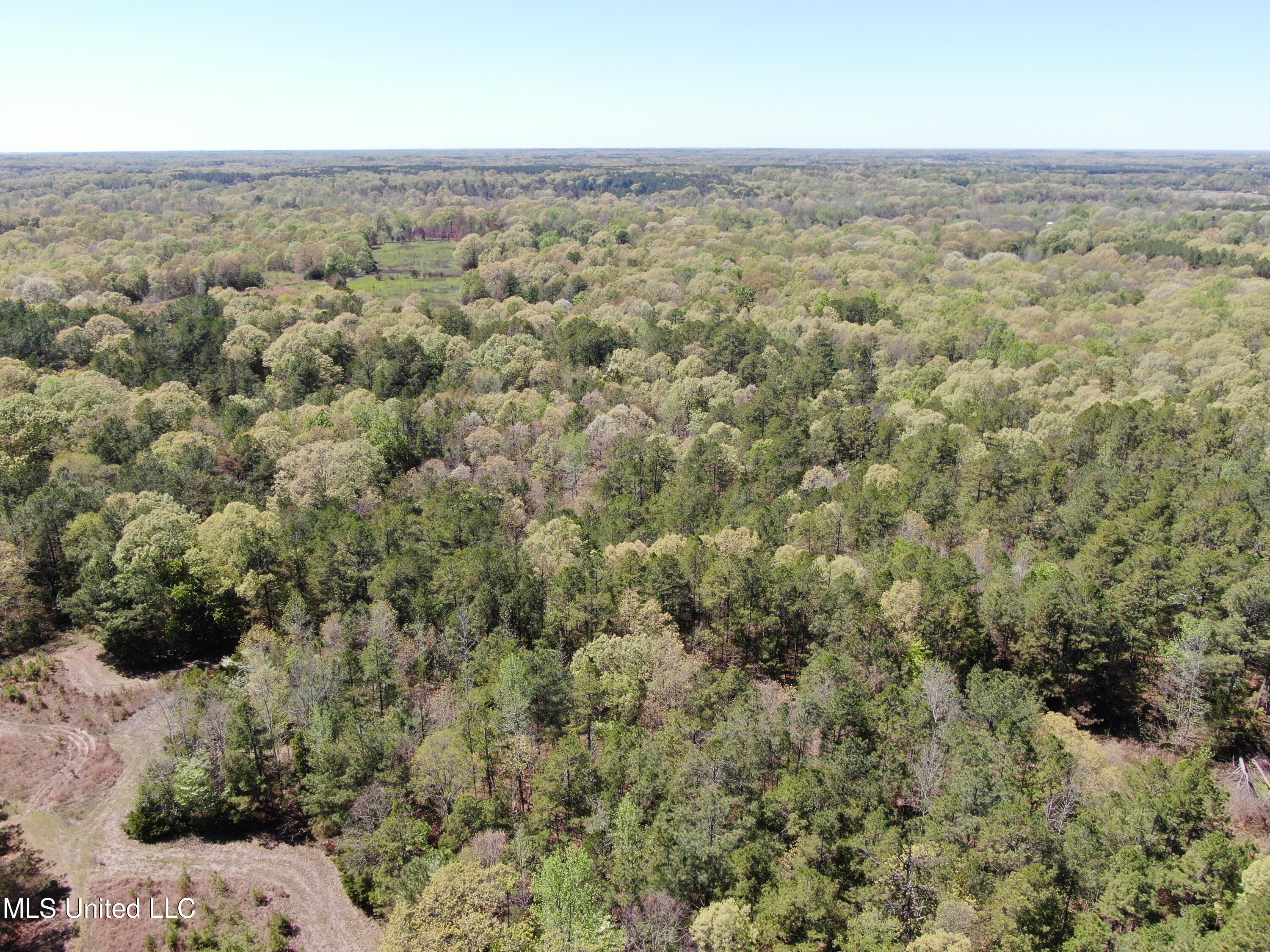 515 Byrd Road, Lamar, Mississippi image 8