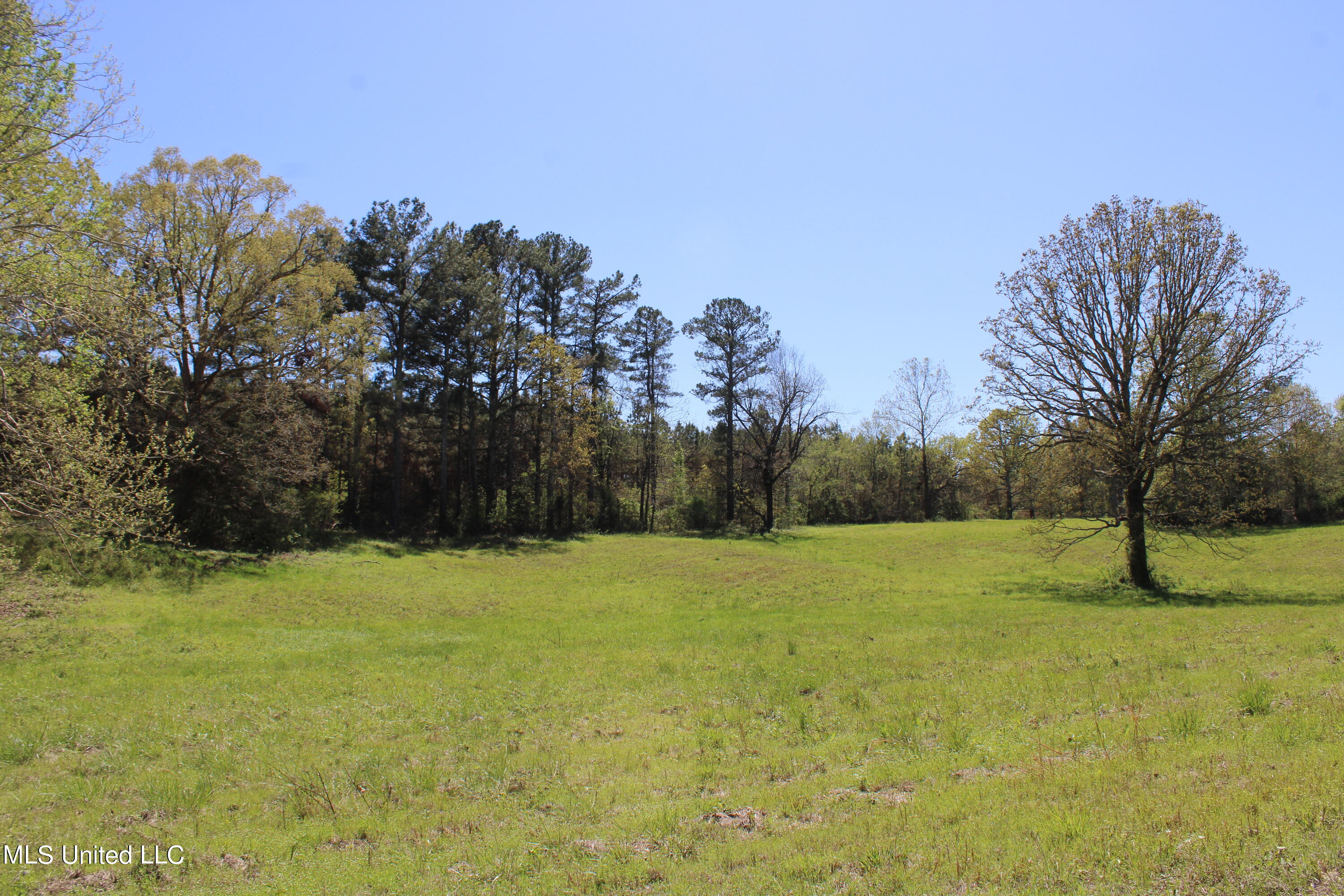 515 Byrd Road, Lamar, Mississippi image 39