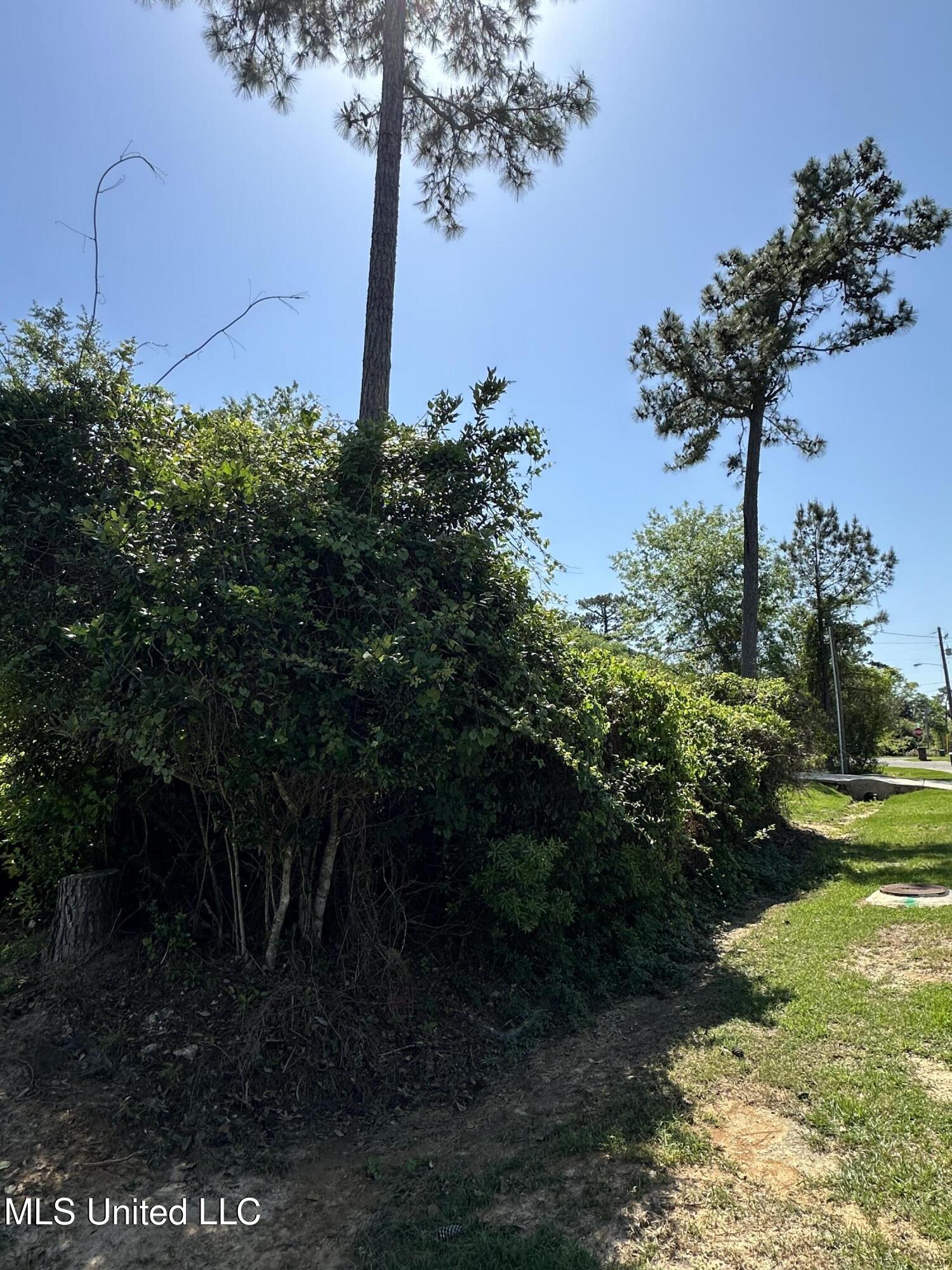 Poni Place, Diamondhead, Mississippi image 2