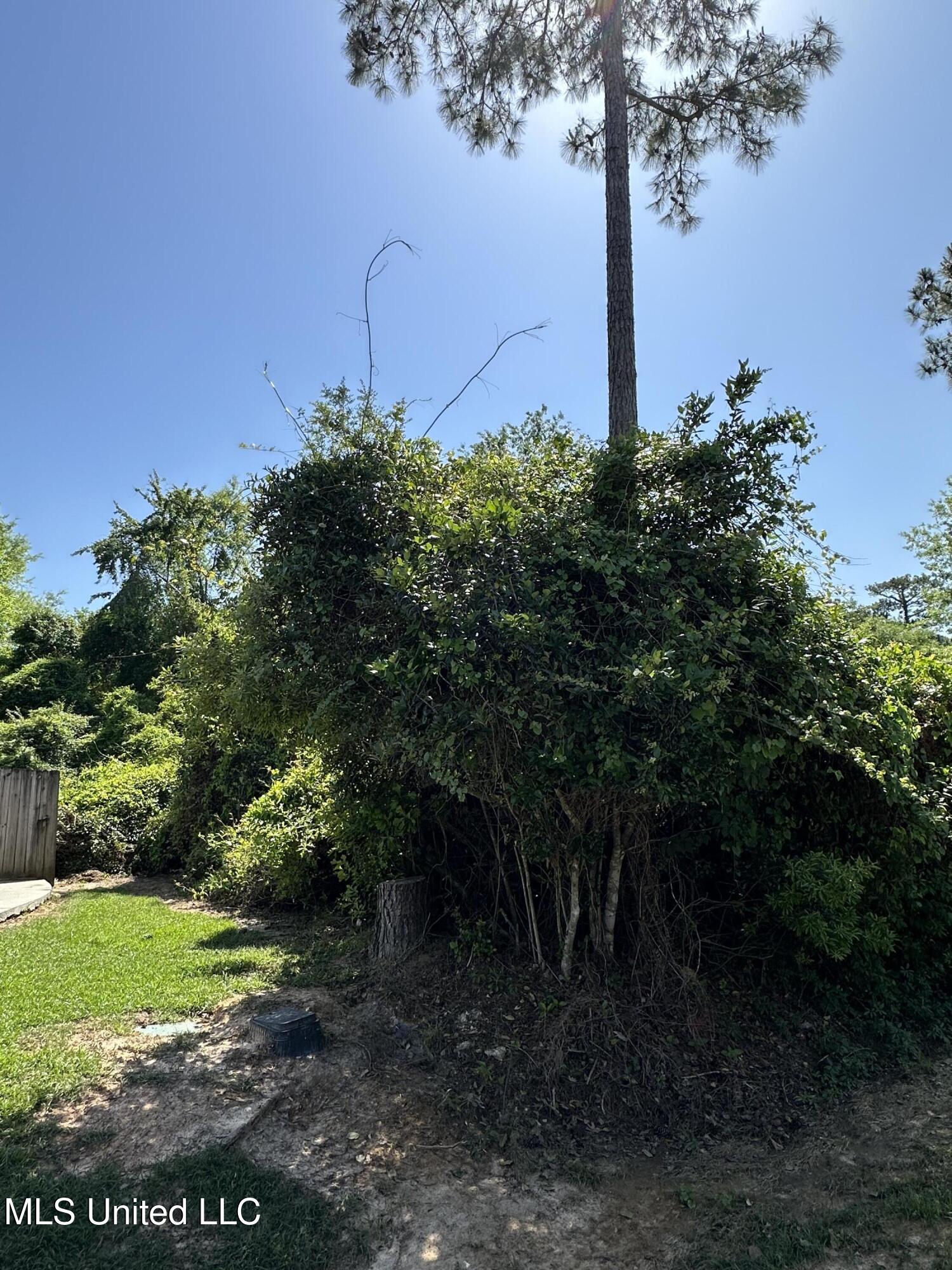 Poni Place, Diamondhead, Mississippi image 4