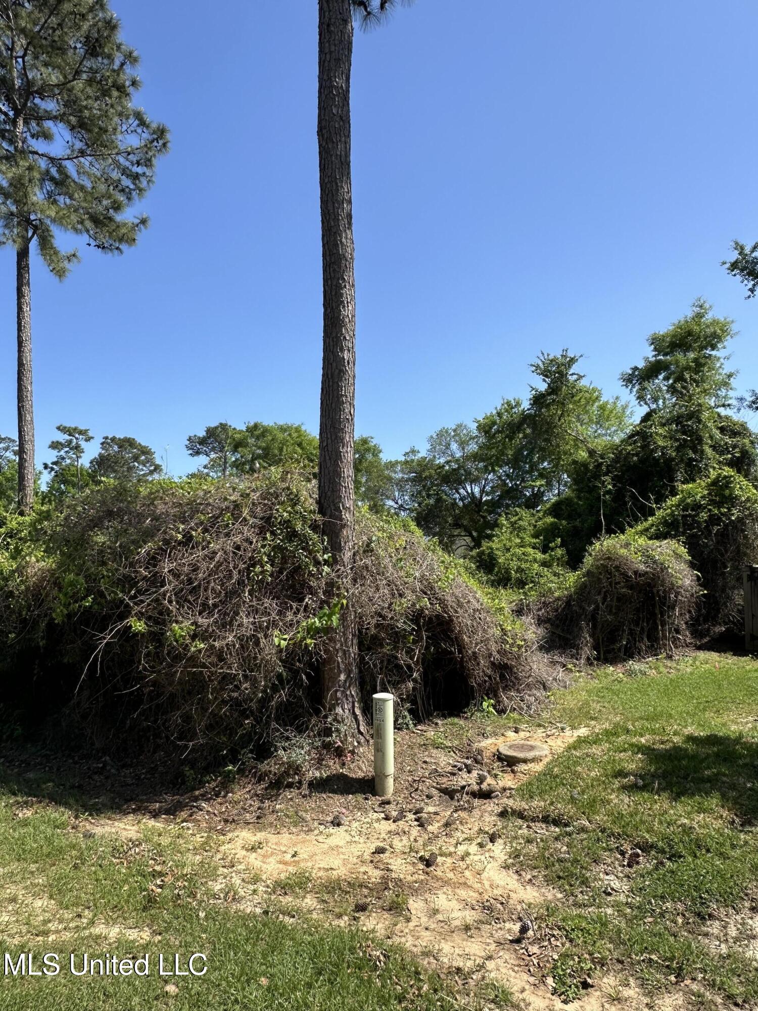 Poni Place, Diamondhead, Mississippi image 6