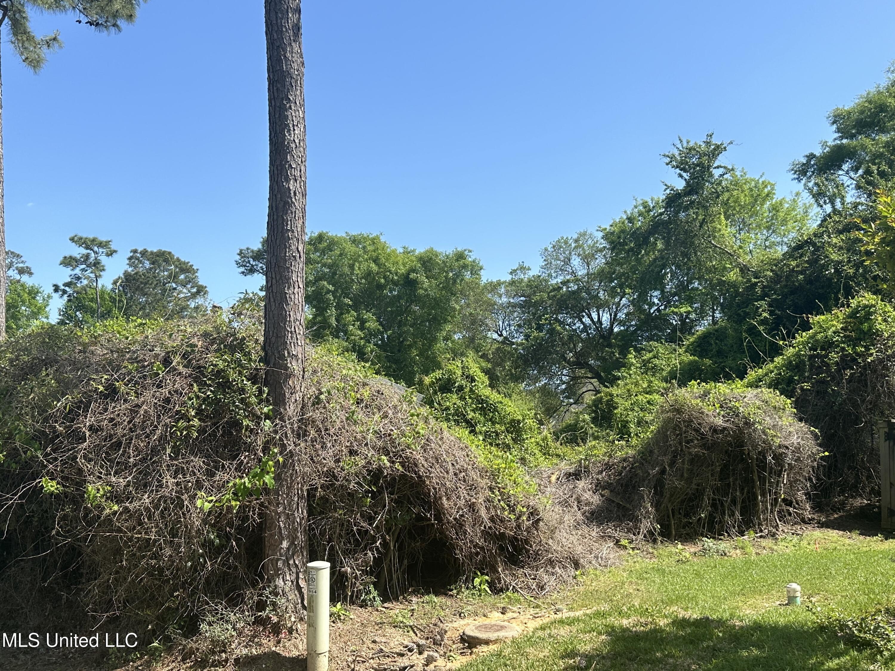 Poni Place, Diamondhead, Mississippi image 5