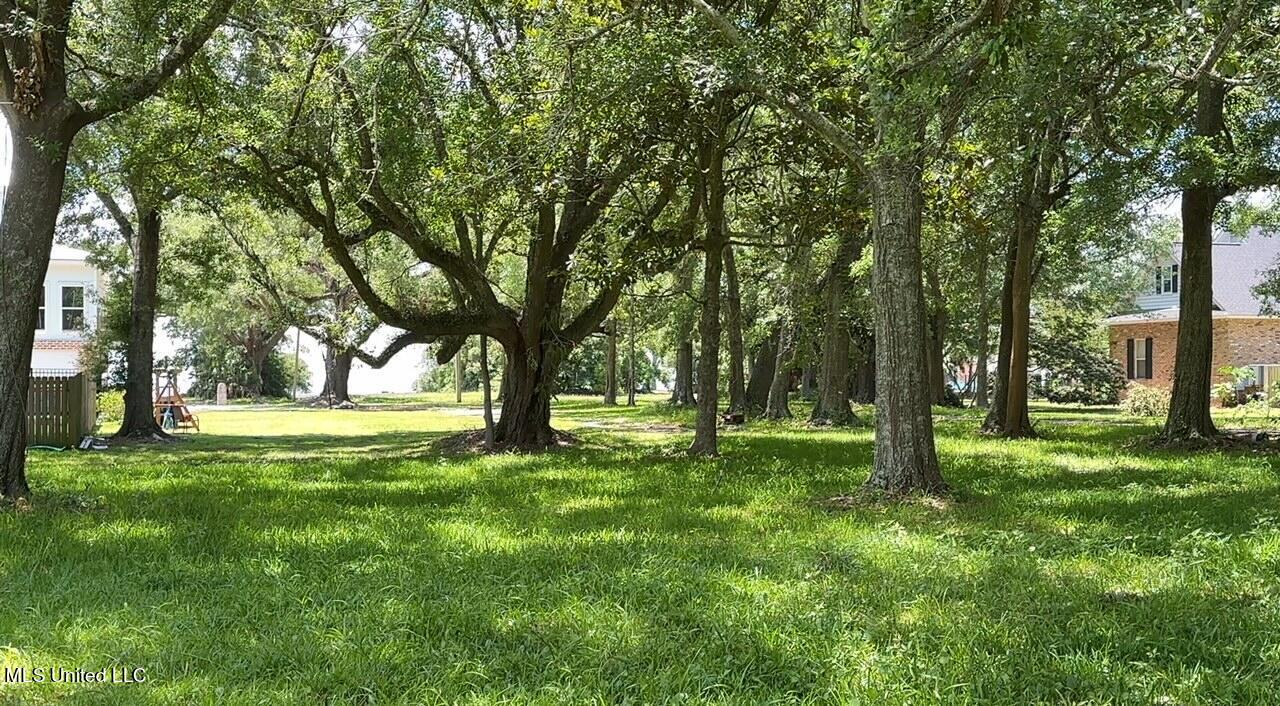 Washington Avenue, Pascagoula, Mississippi image 7