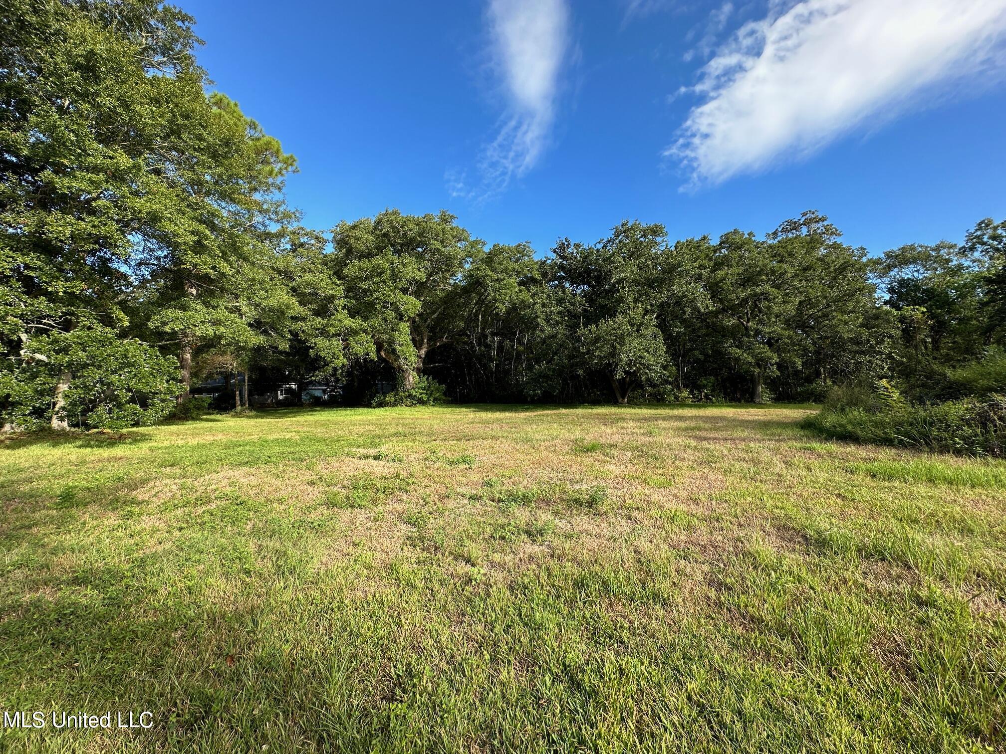 Washington Avenue, Pascagoula, Mississippi image 19