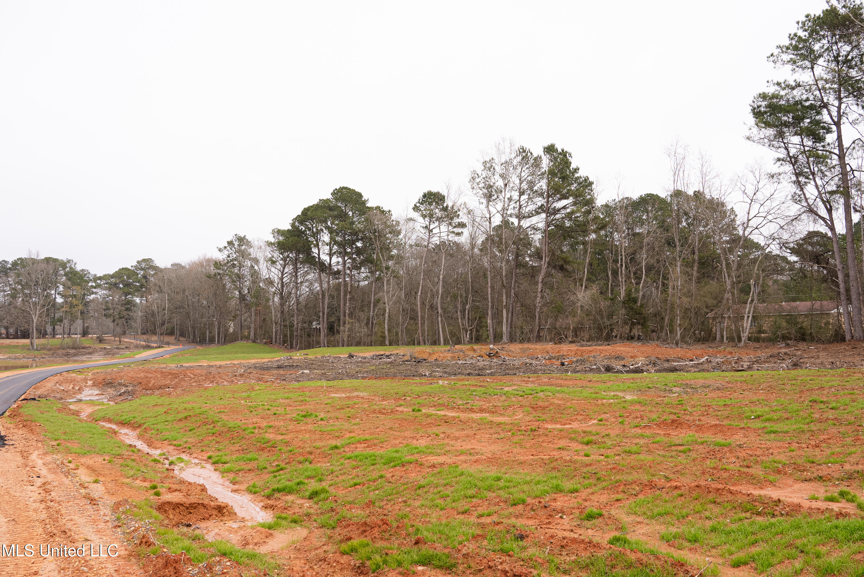 Forest Glen Drive, Laurel, Mississippi image 3