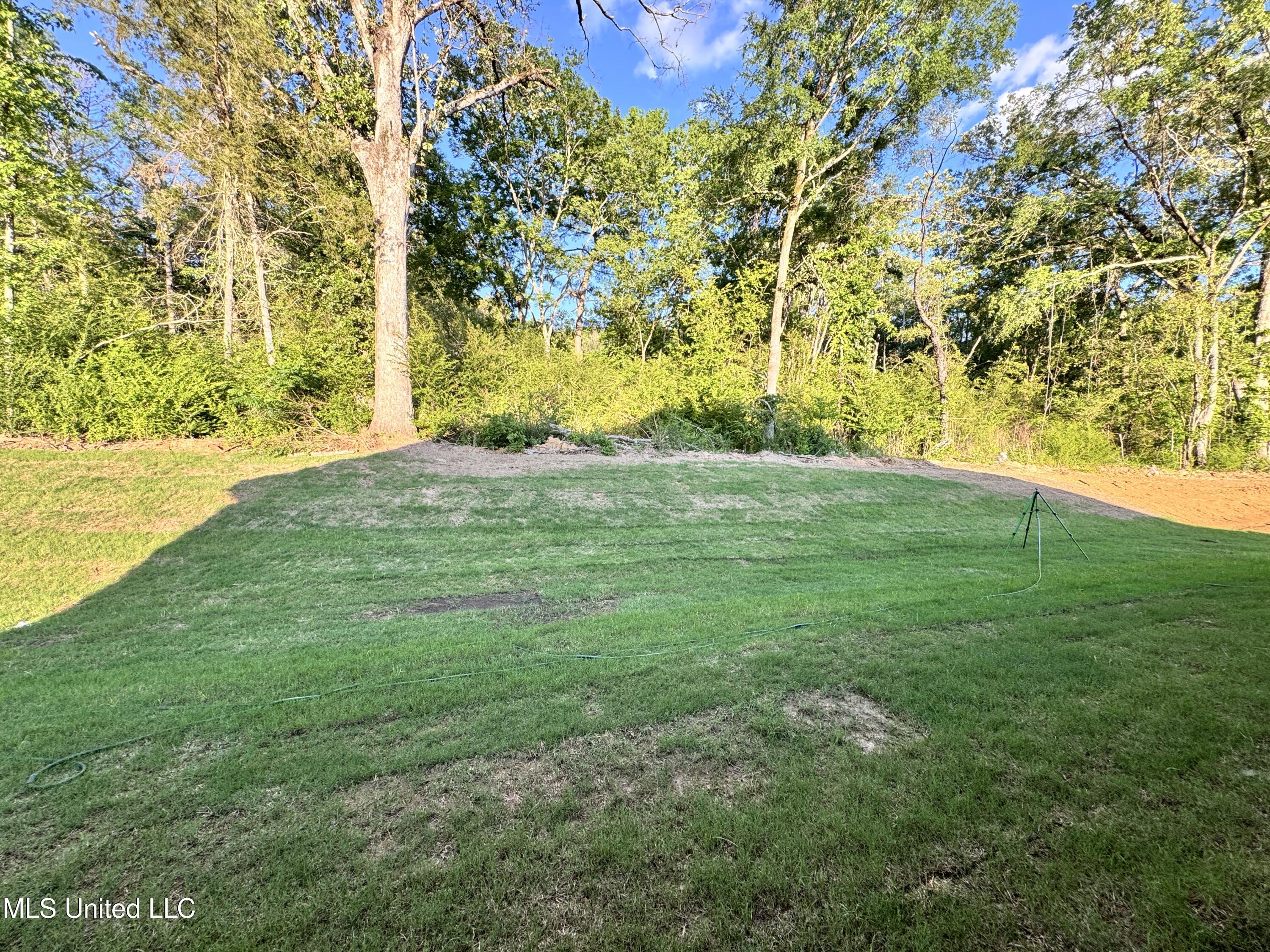 747 Magnolia Point Circle, Pearl, Mississippi image 27