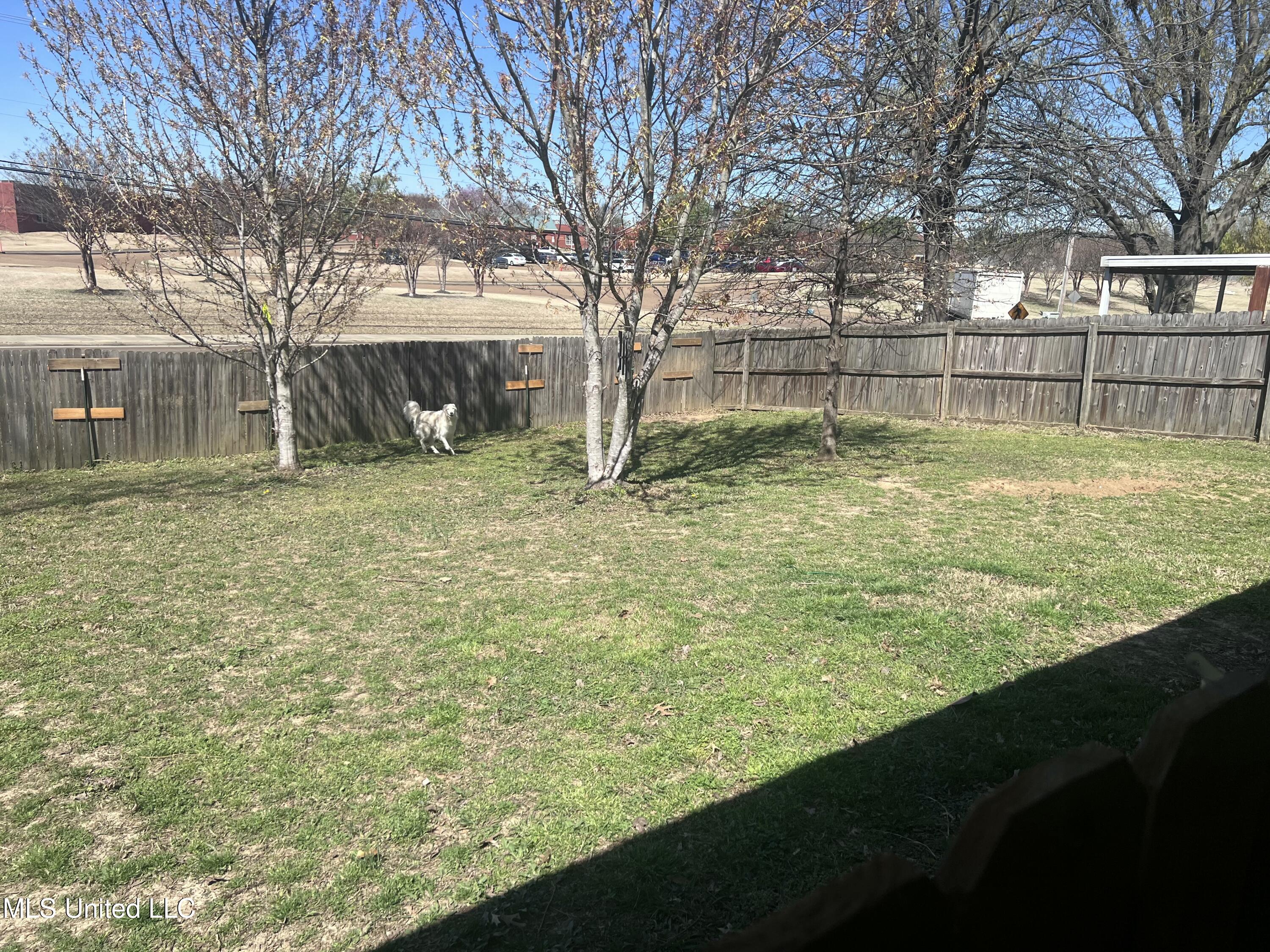 6555 Jamestown Drive, Horn Lake, Mississippi image 11