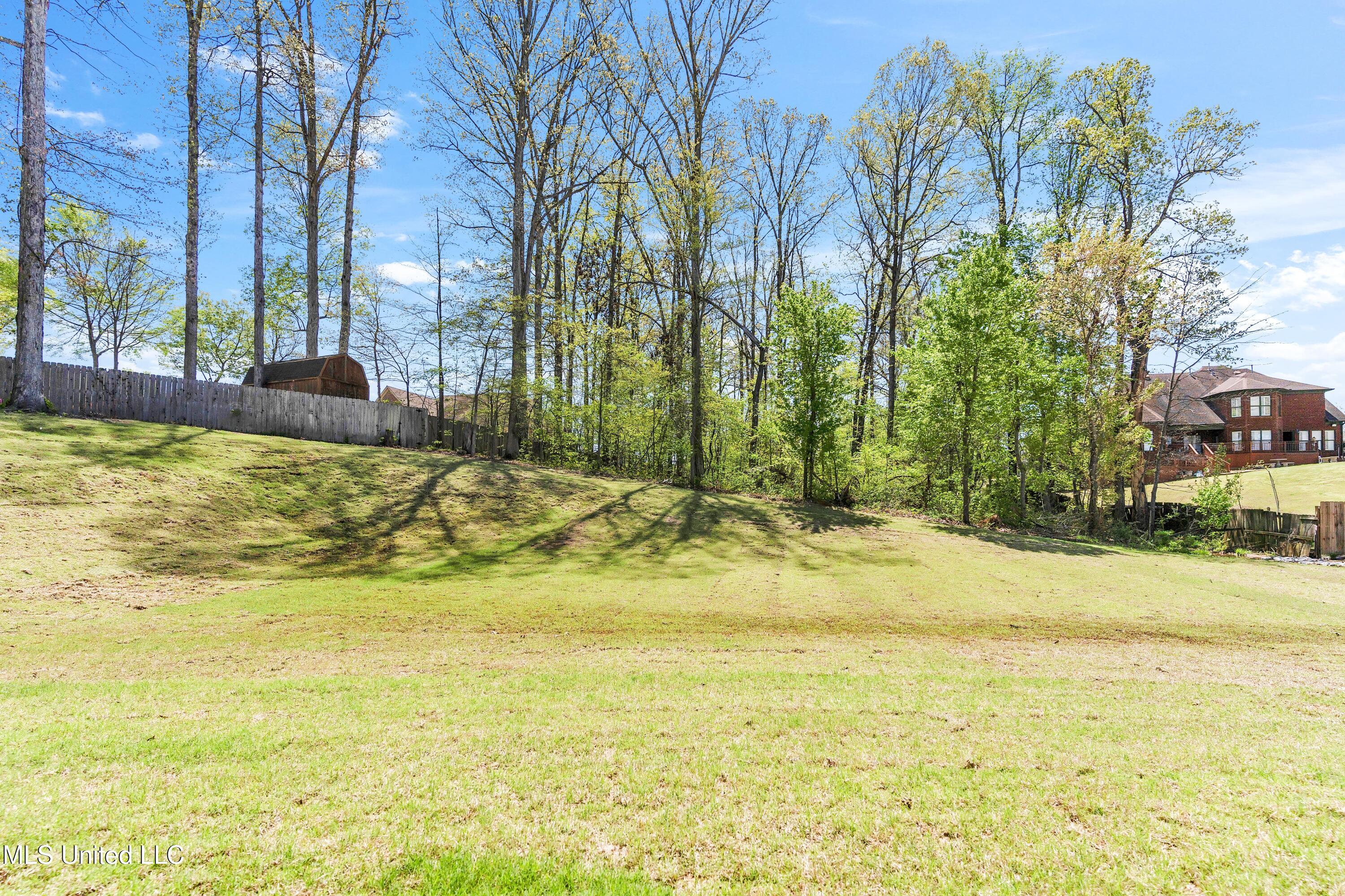 2113 Belmarie Drive, Southaven, Mississippi image 24