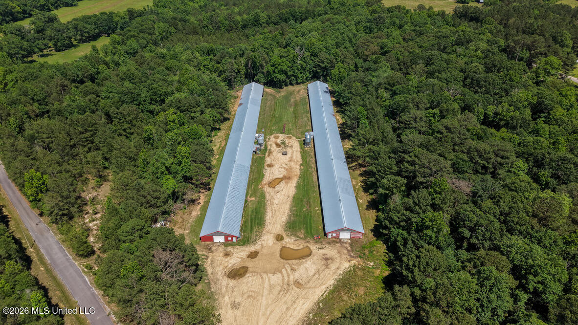 Smithtown Chicora Road