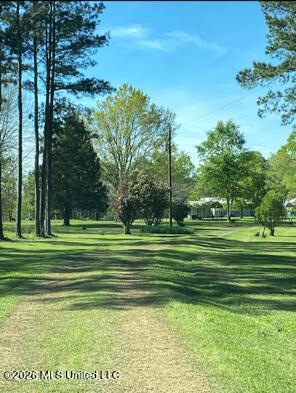 5702 ROLLINSON RD, LIBERTY, MS 39645 - Image facea78f9a2eeecbdbb0581503ed090d/3528585232