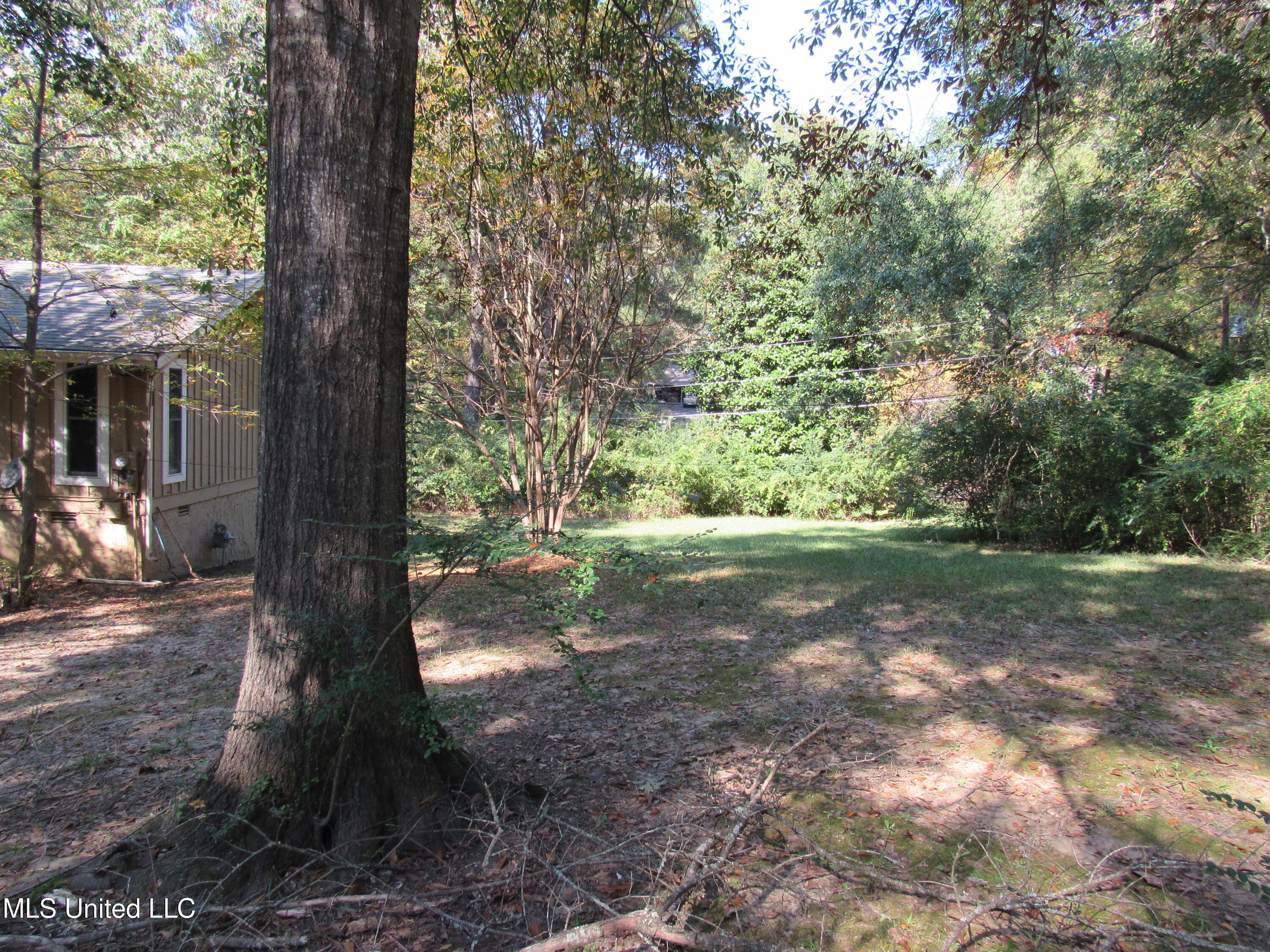 793 Chickadee Cove, Hernando, Mississippi image 34