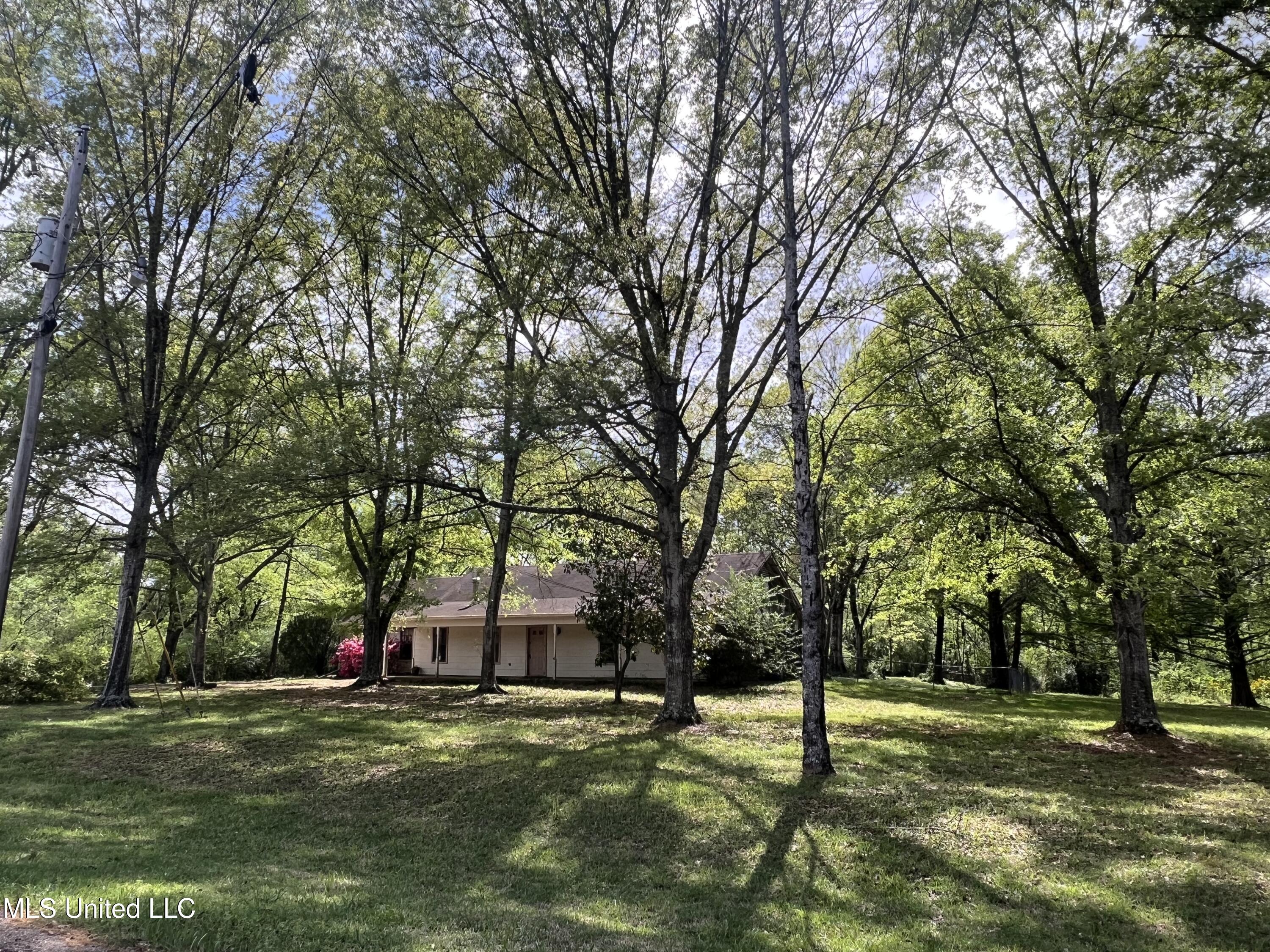 2339 N Pine Lea Drive, Jackson, Mississippi image 2