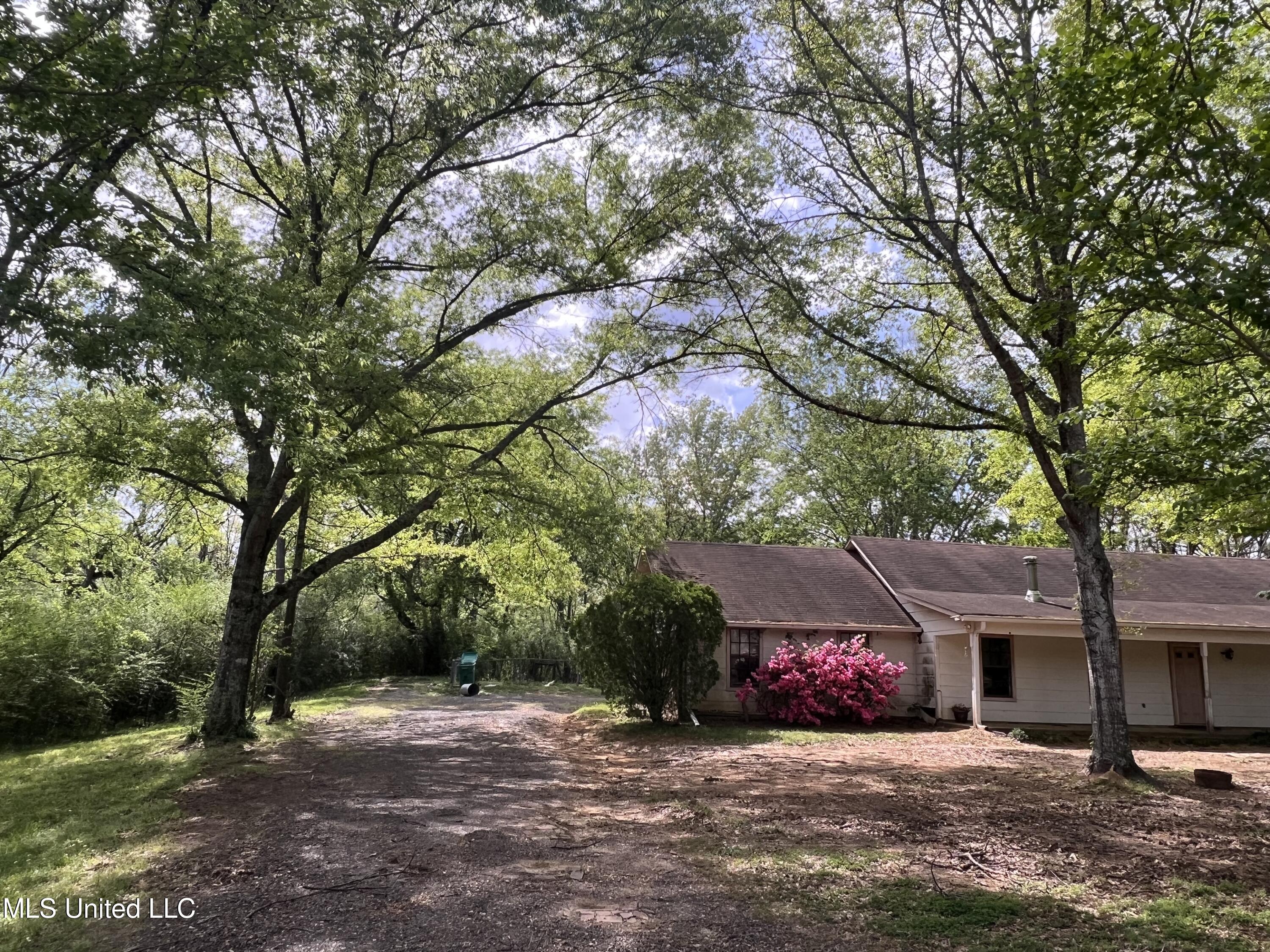 2339 N Pine Lea Drive, Jackson, Mississippi image 4