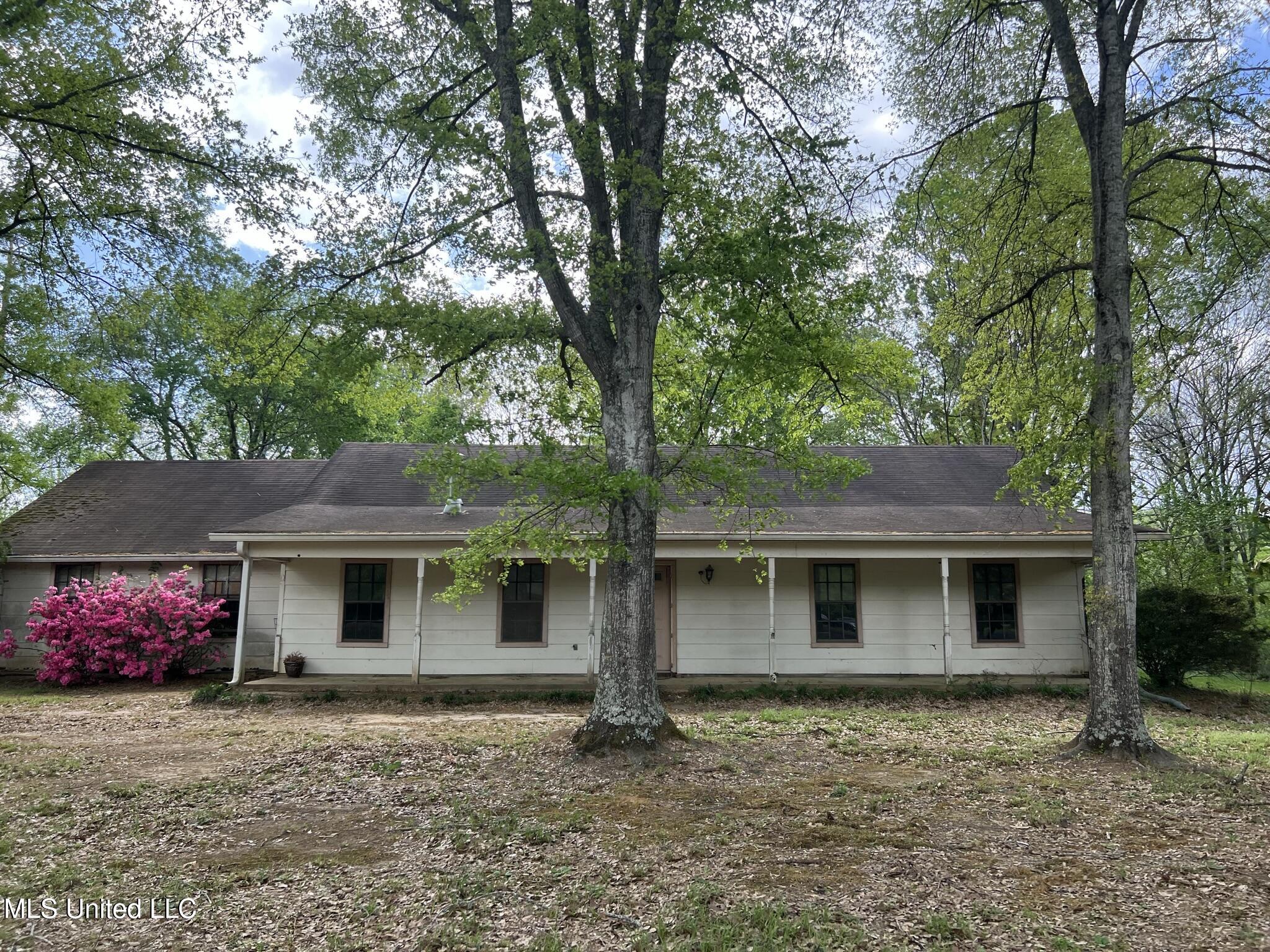2339 N Pine Lea Drive, Jackson, Mississippi image 5