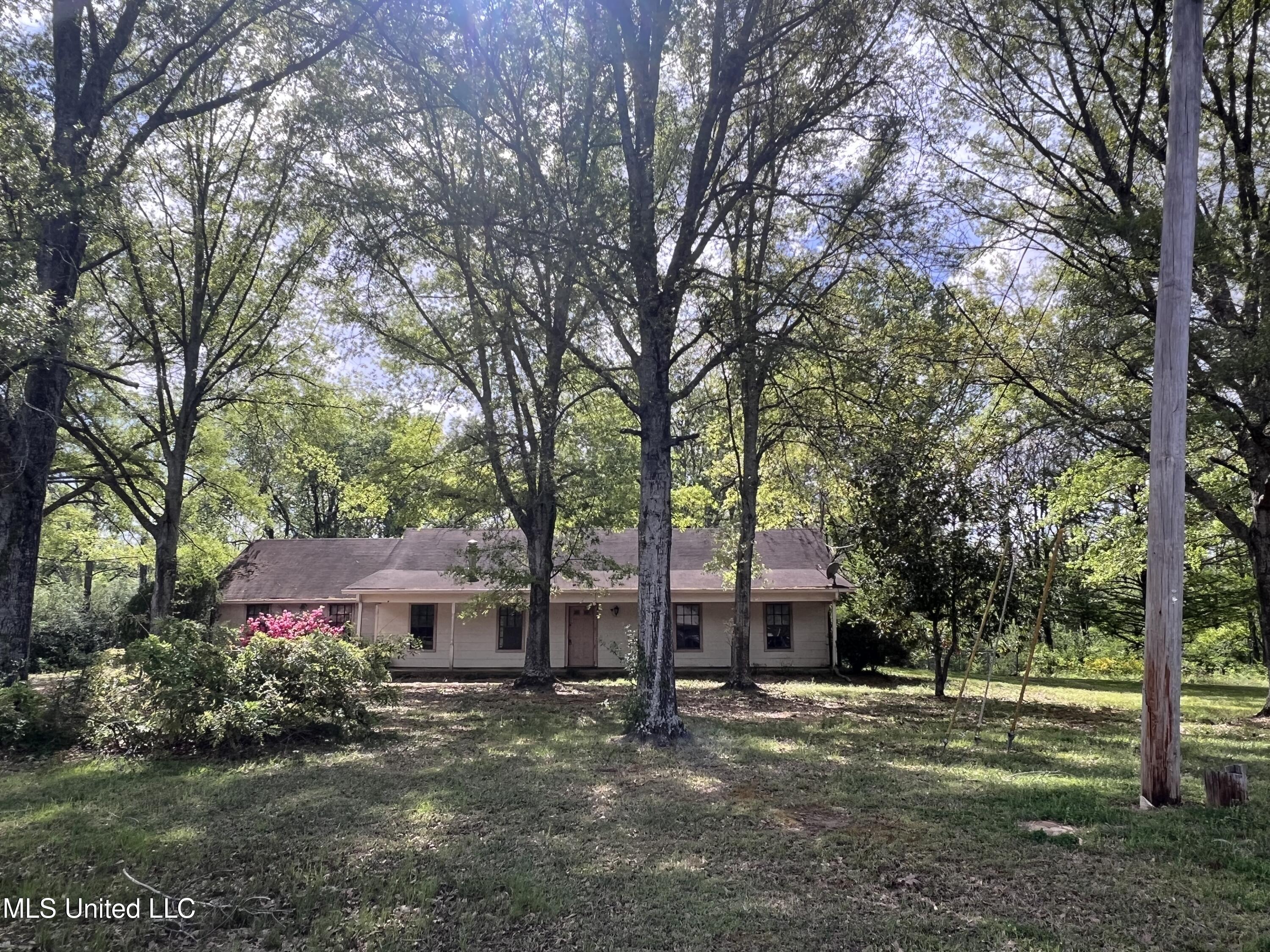 2339 N Pine Lea Drive, Jackson, Mississippi image 1