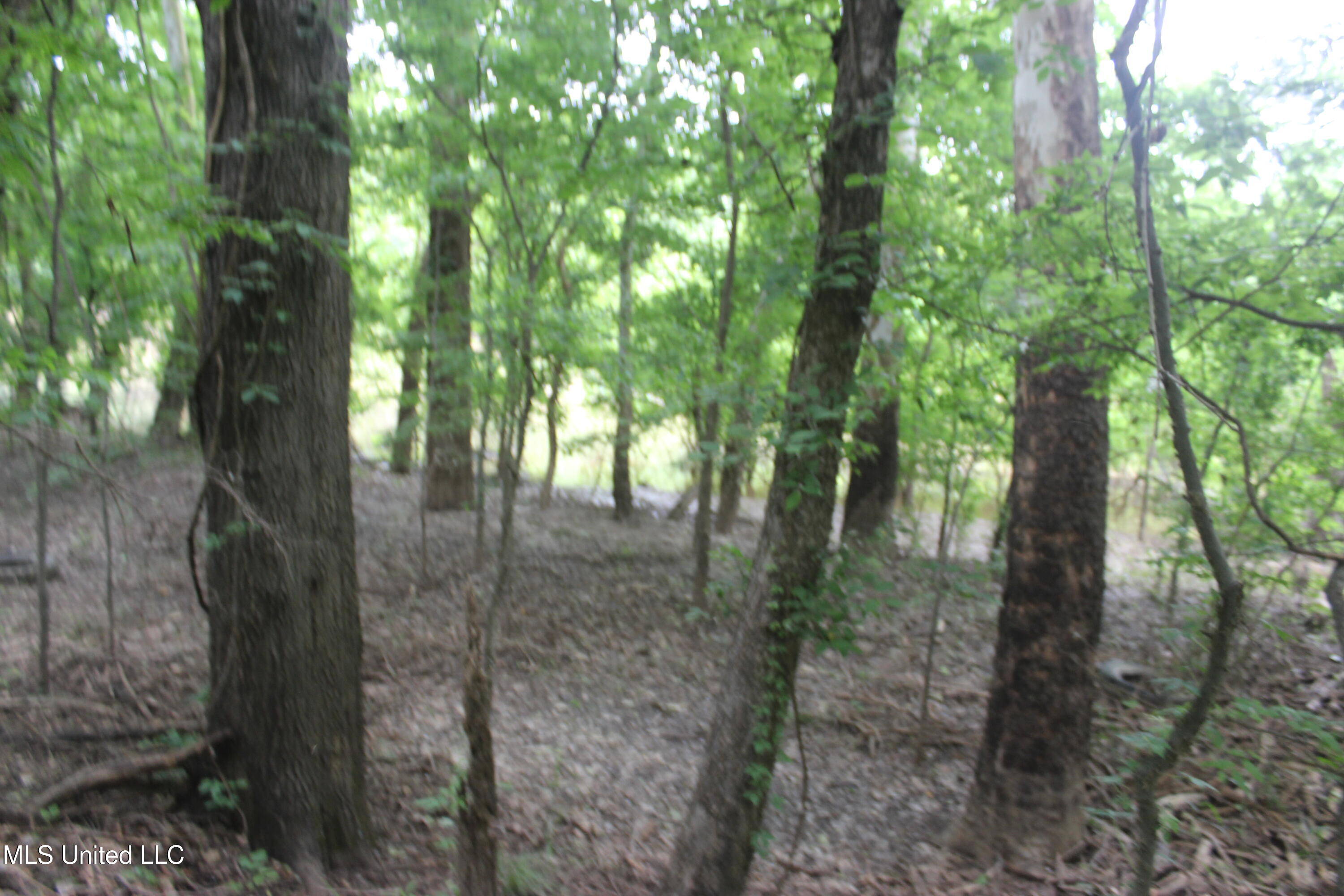 001 Levee Road Road, Yazoo City, Mississippi image 32