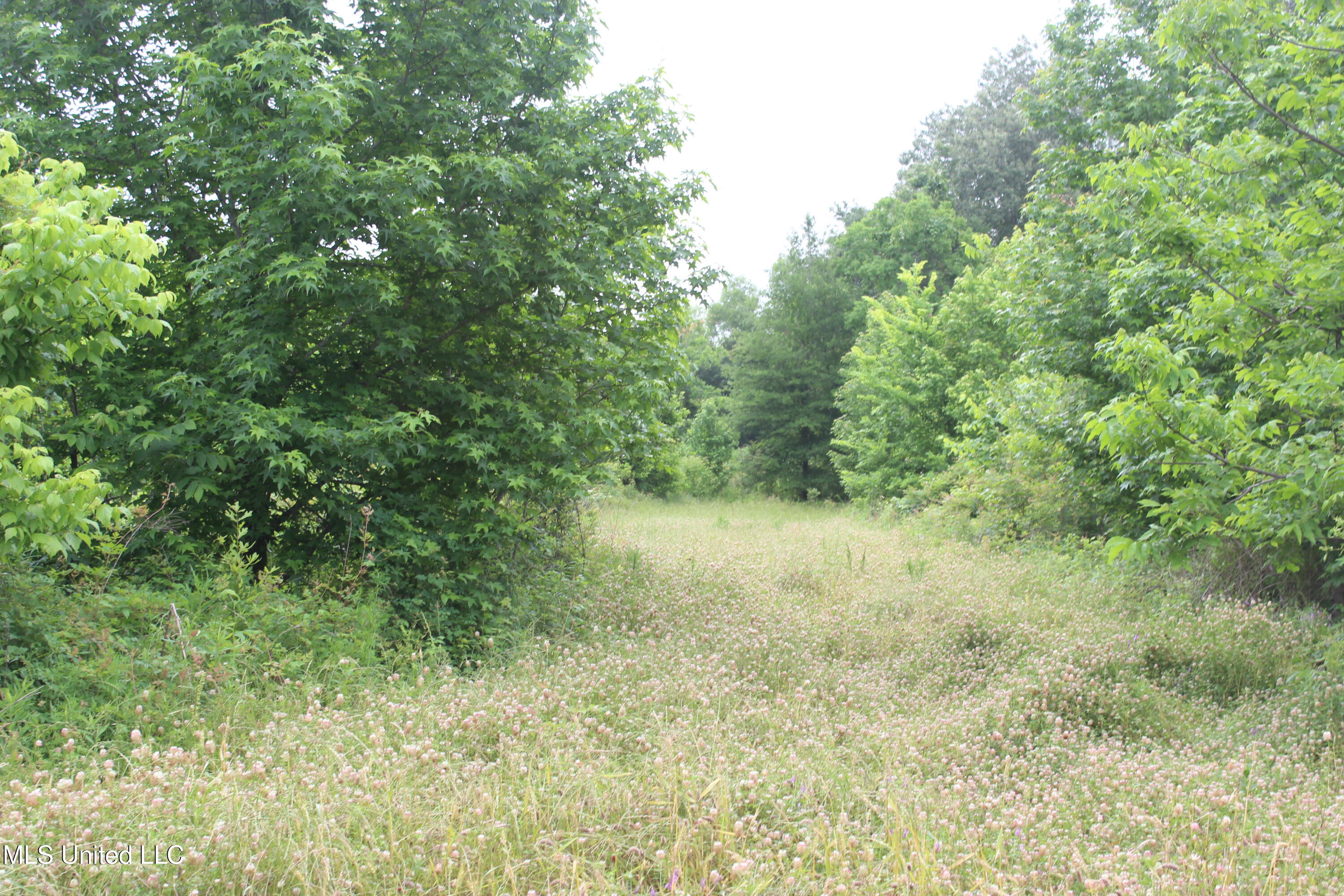001 Levee Road Road, Yazoo City, Mississippi image 38