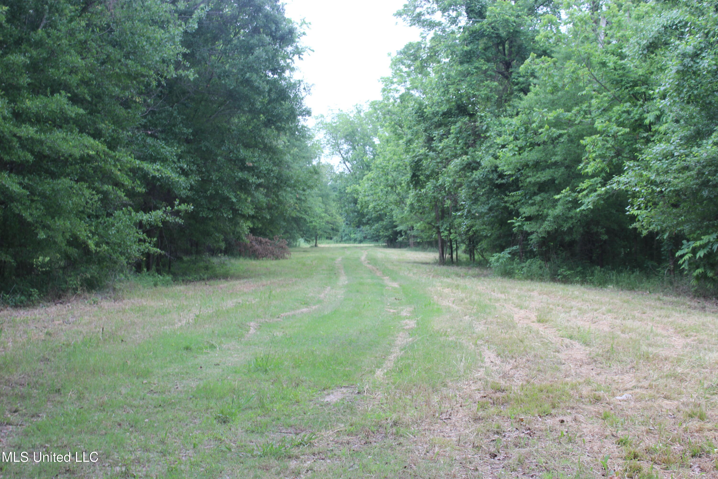 001 Levee Road Road, Yazoo City, Mississippi image 13