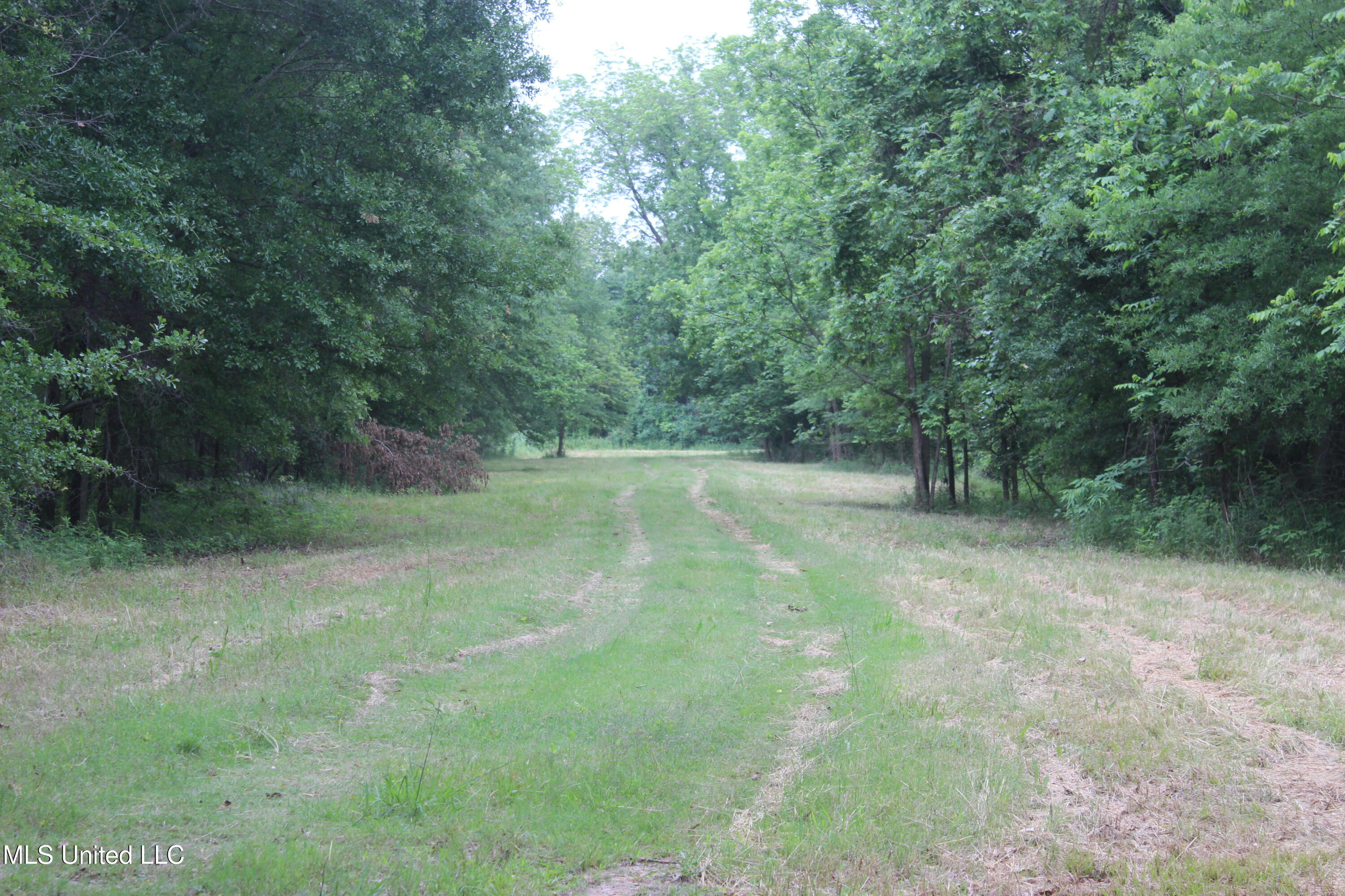 001 Levee Road Road, Yazoo City, Mississippi image 14