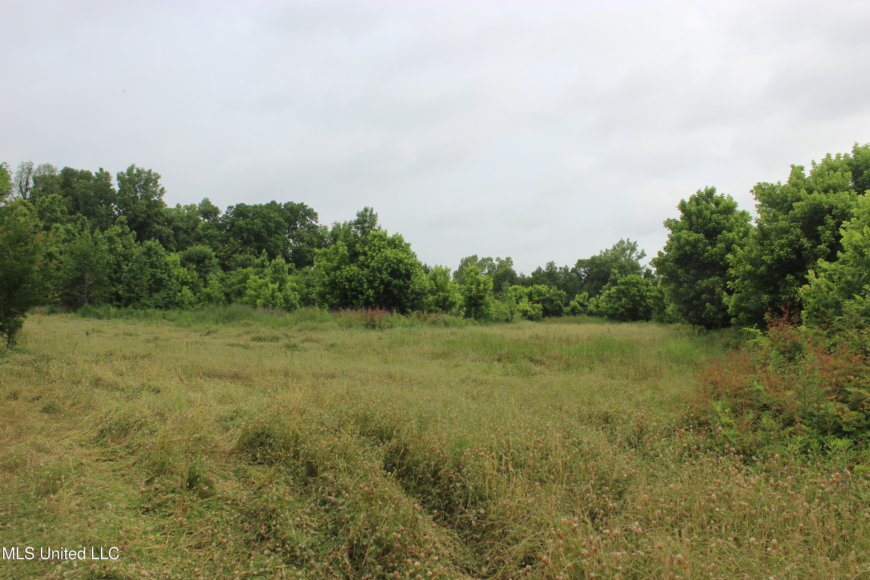 001 Levee Road Road, Yazoo City, Mississippi image 37