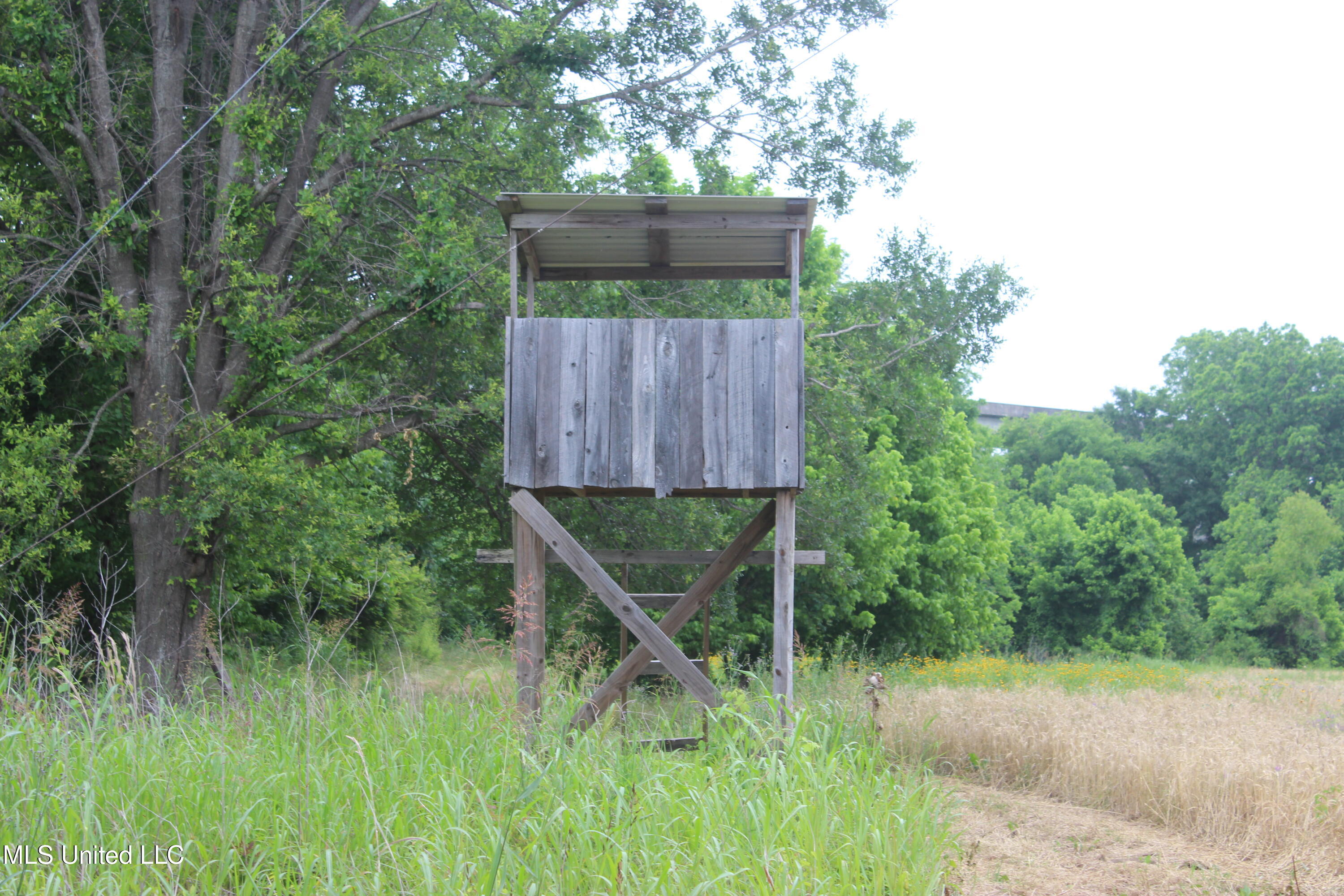 001 Levee Road Road, Yazoo City, Mississippi image 15