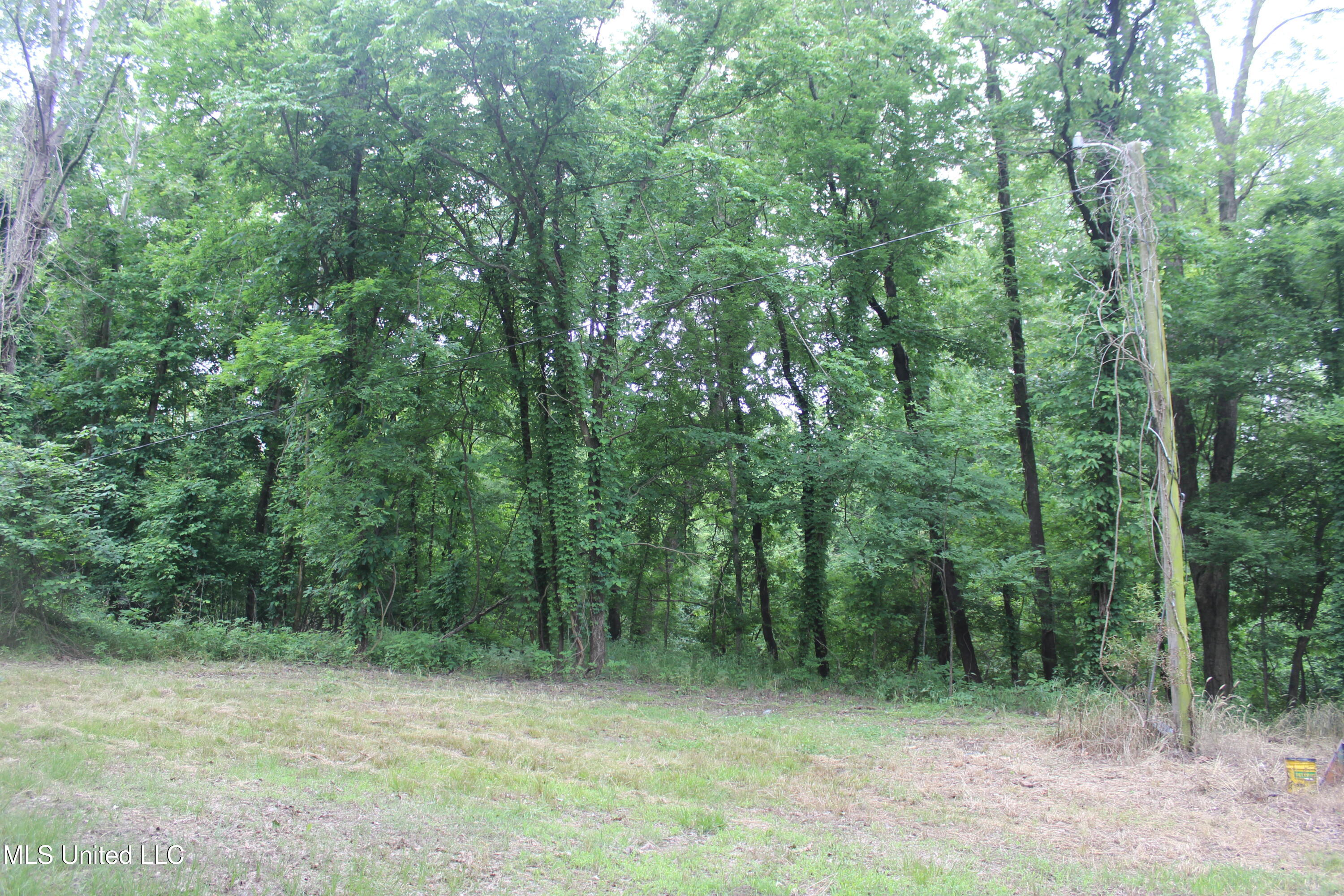 001 Levee Road Road, Yazoo City, Mississippi image 6