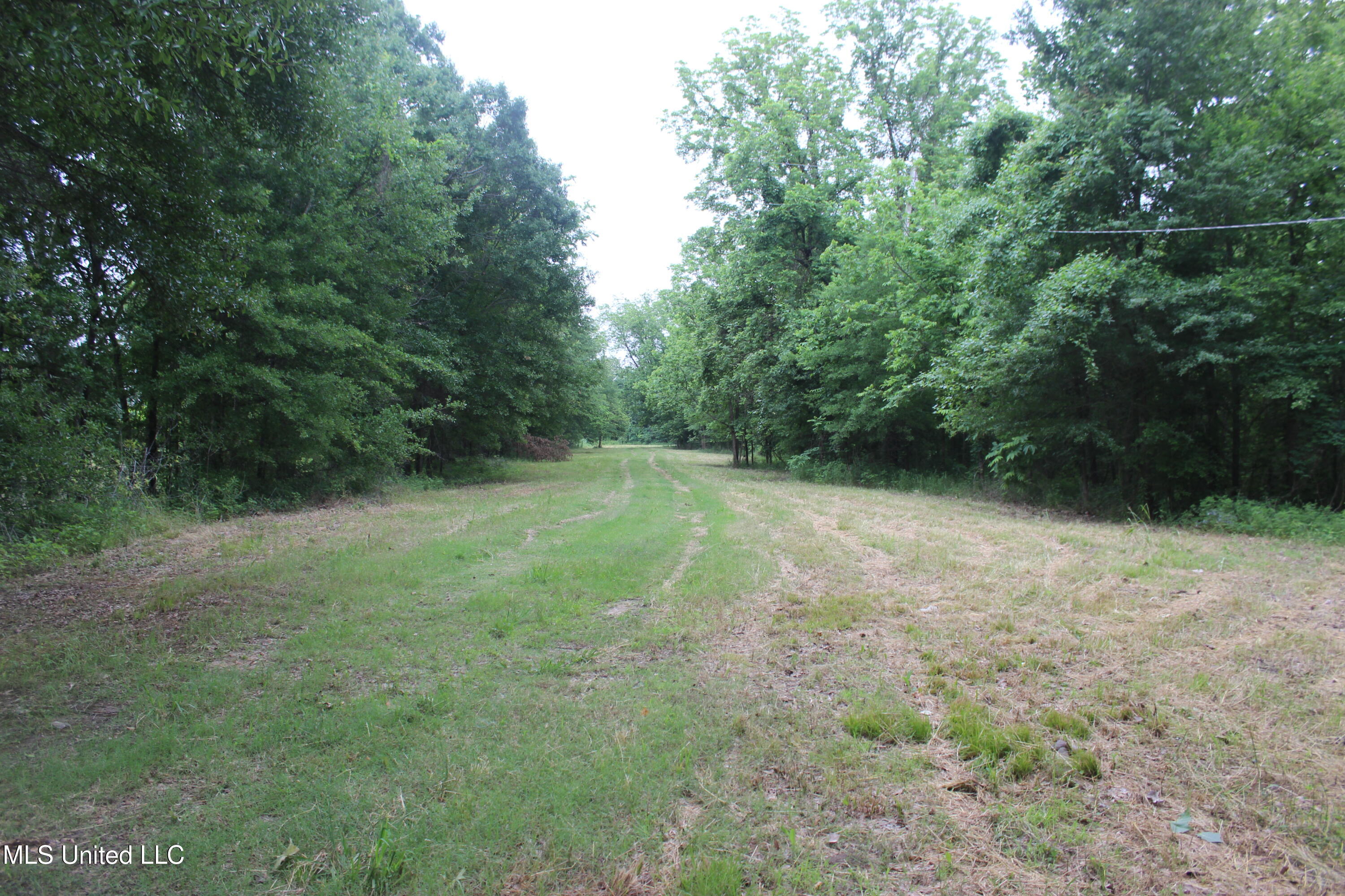 001 Levee Road Road, Yazoo City, Mississippi image 12