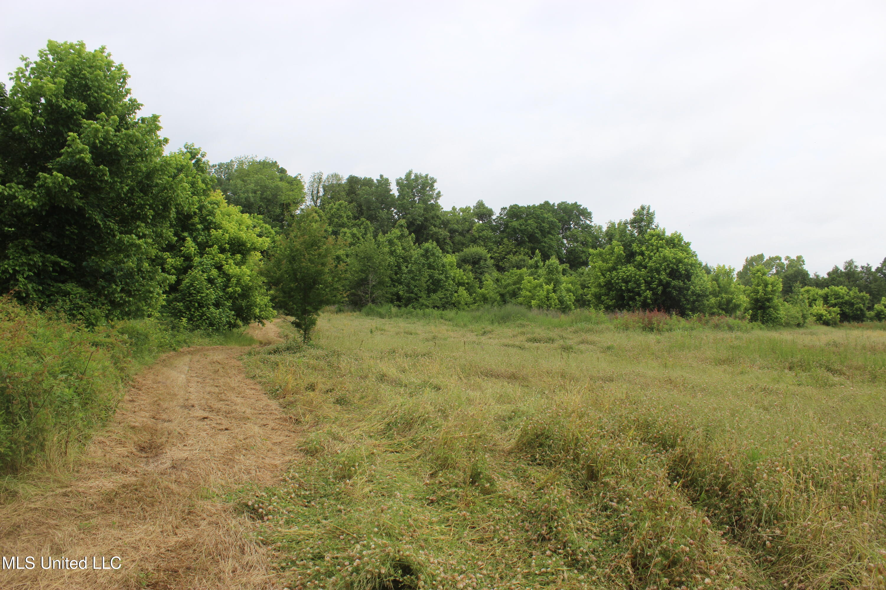001 Levee Road Road, Yazoo City, Mississippi image 36