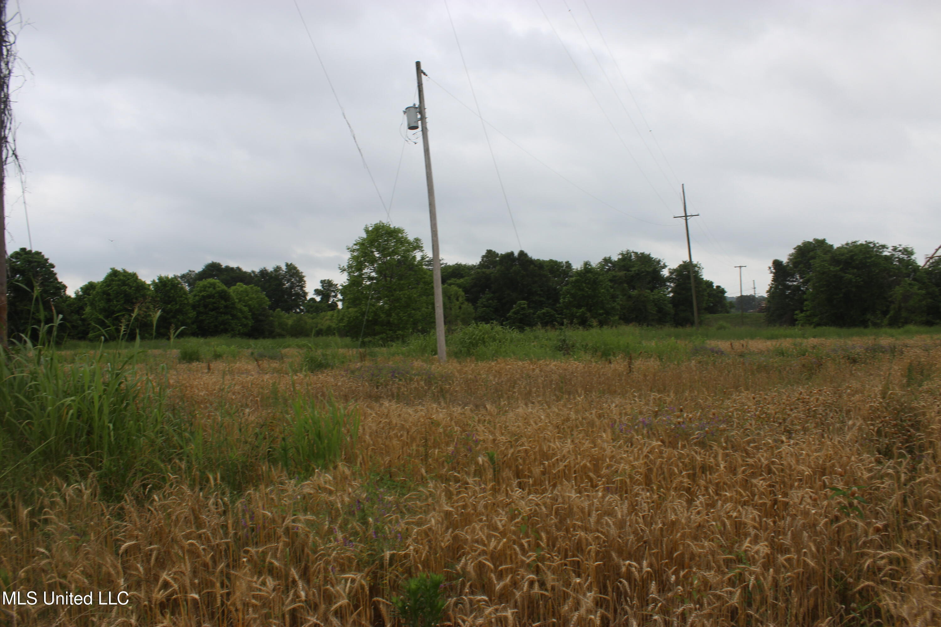 001 Levee Road Road, Yazoo City, Mississippi image 21