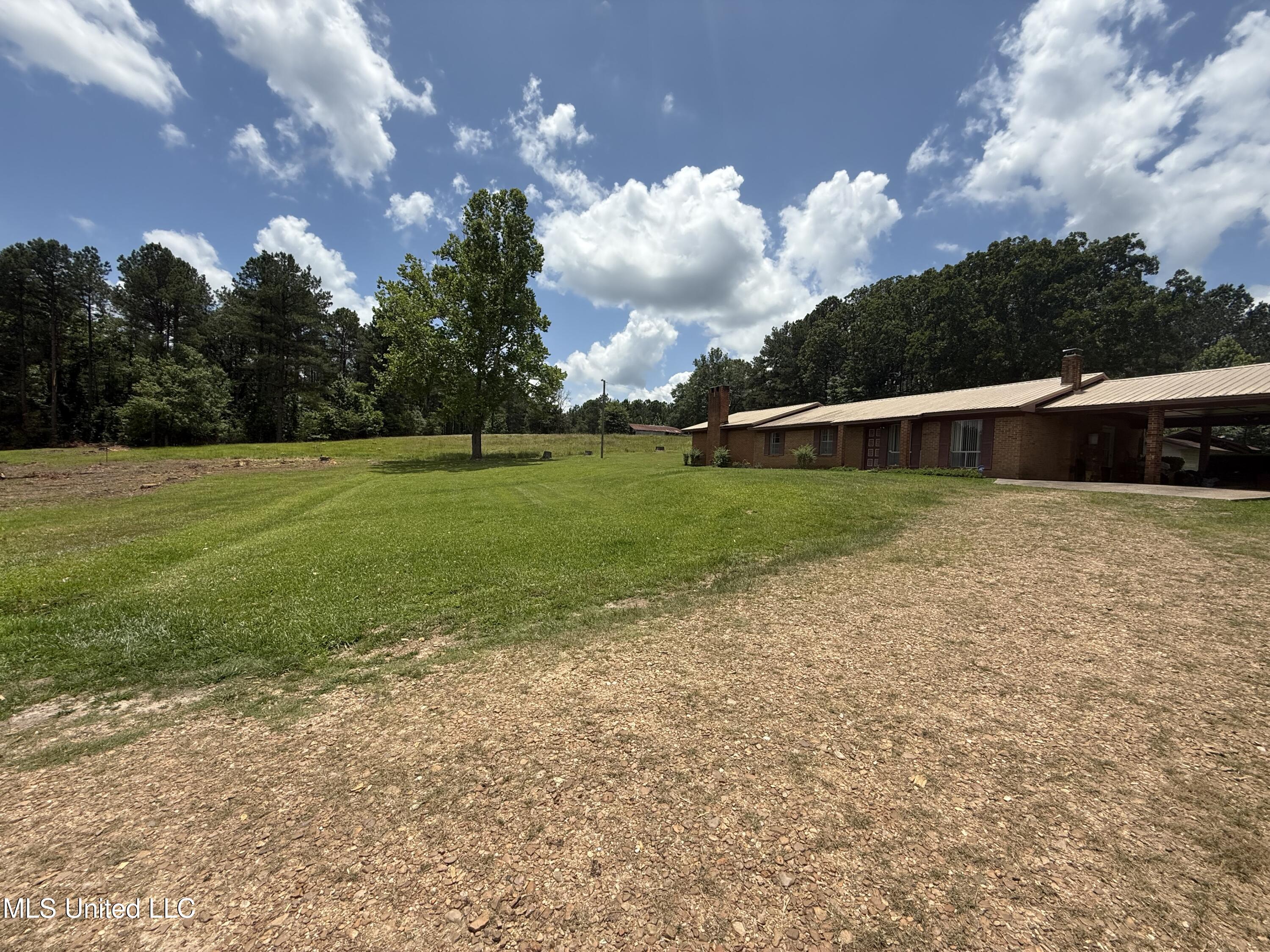 1001 Newsome Lane, Wesson, Mississippi image 7
