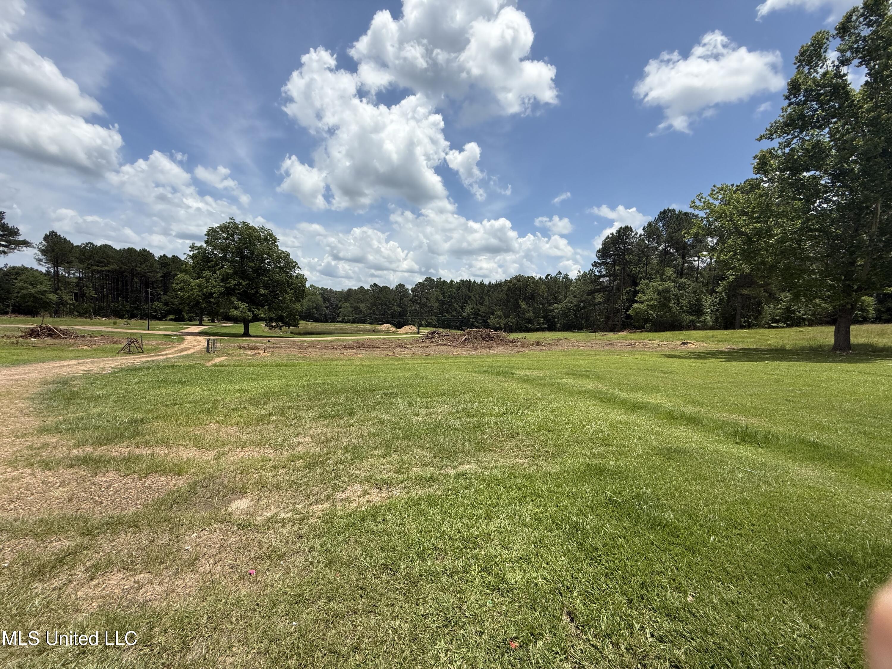 1001 Newsome Lane, Wesson, Mississippi image 3