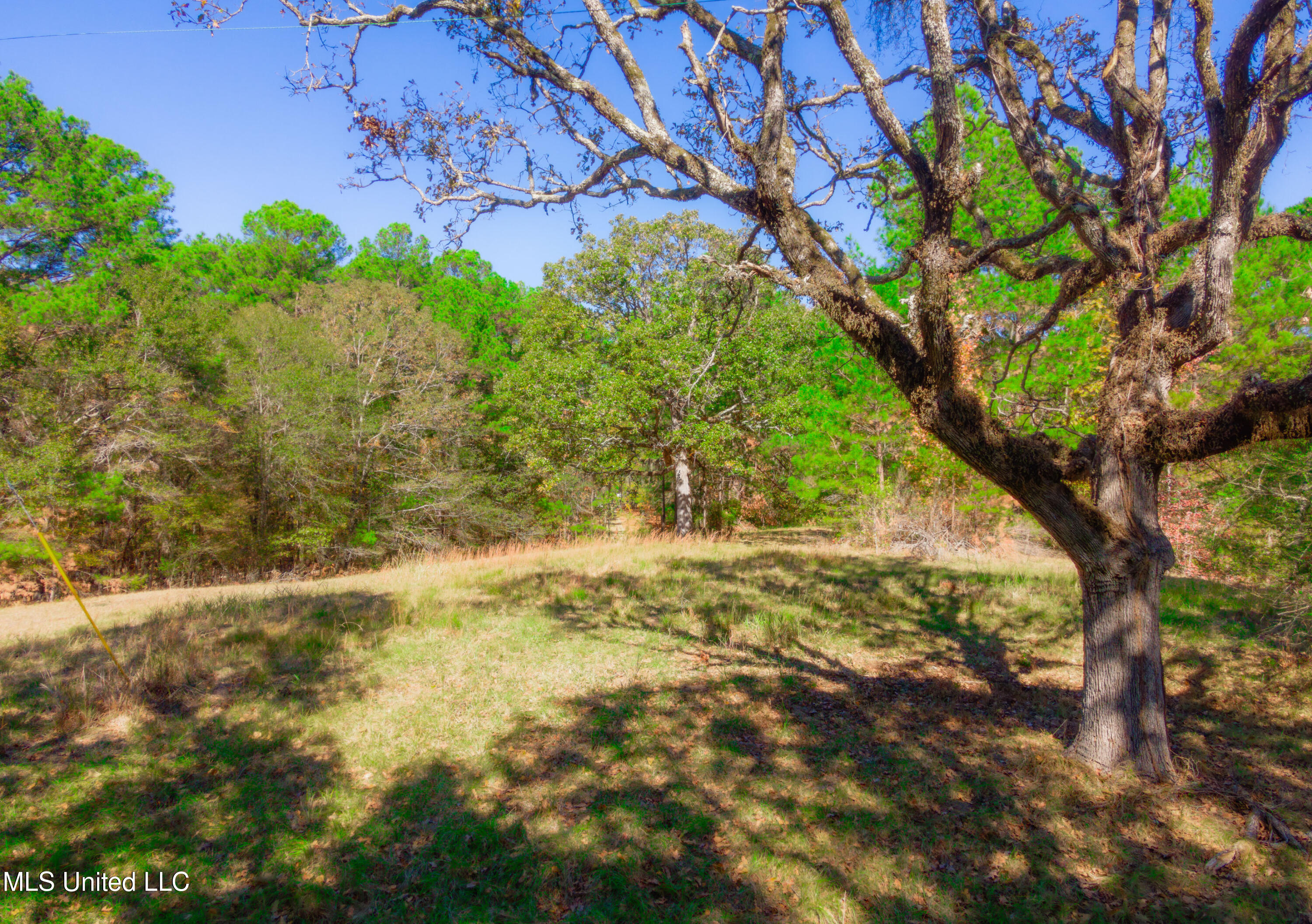 Cedar Hill Road, Flora, Mississippi image 26