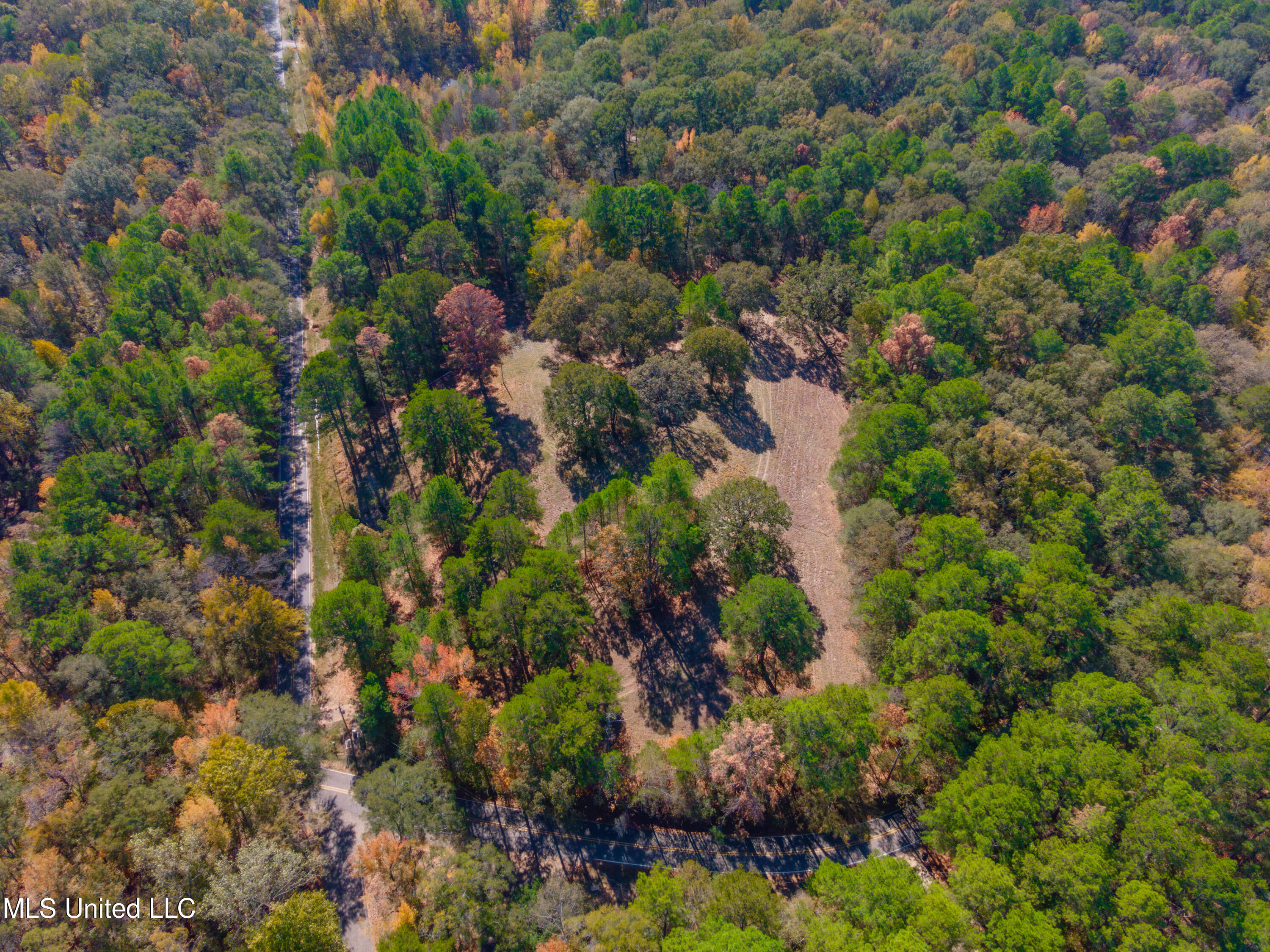 Cedar Hill Road, Flora, Mississippi image 1