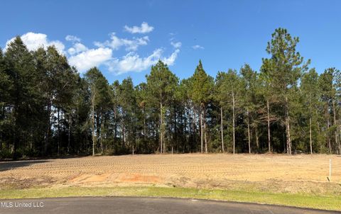 Vacant Land For Sale - Summerour Road<br/> George County, Lucedale, MS 39452