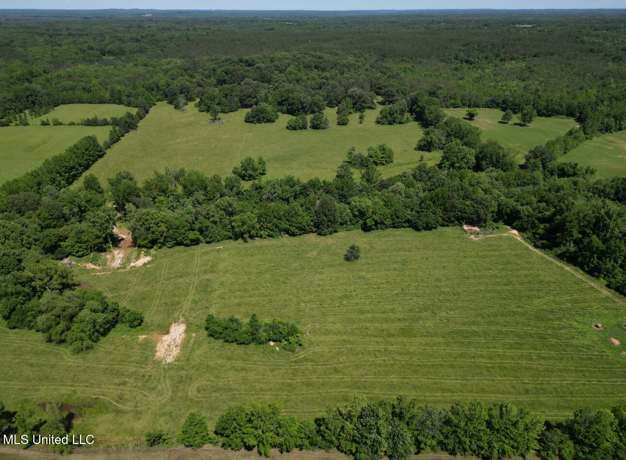Curtis Road, Lamar, Mississippi image 16
