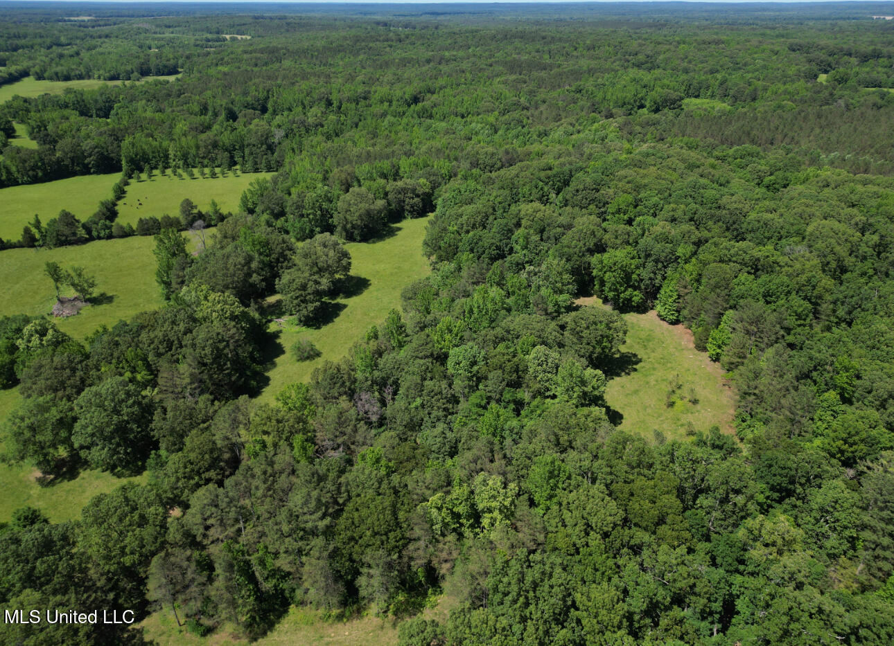 Curtis Road, Lamar, Mississippi image 20