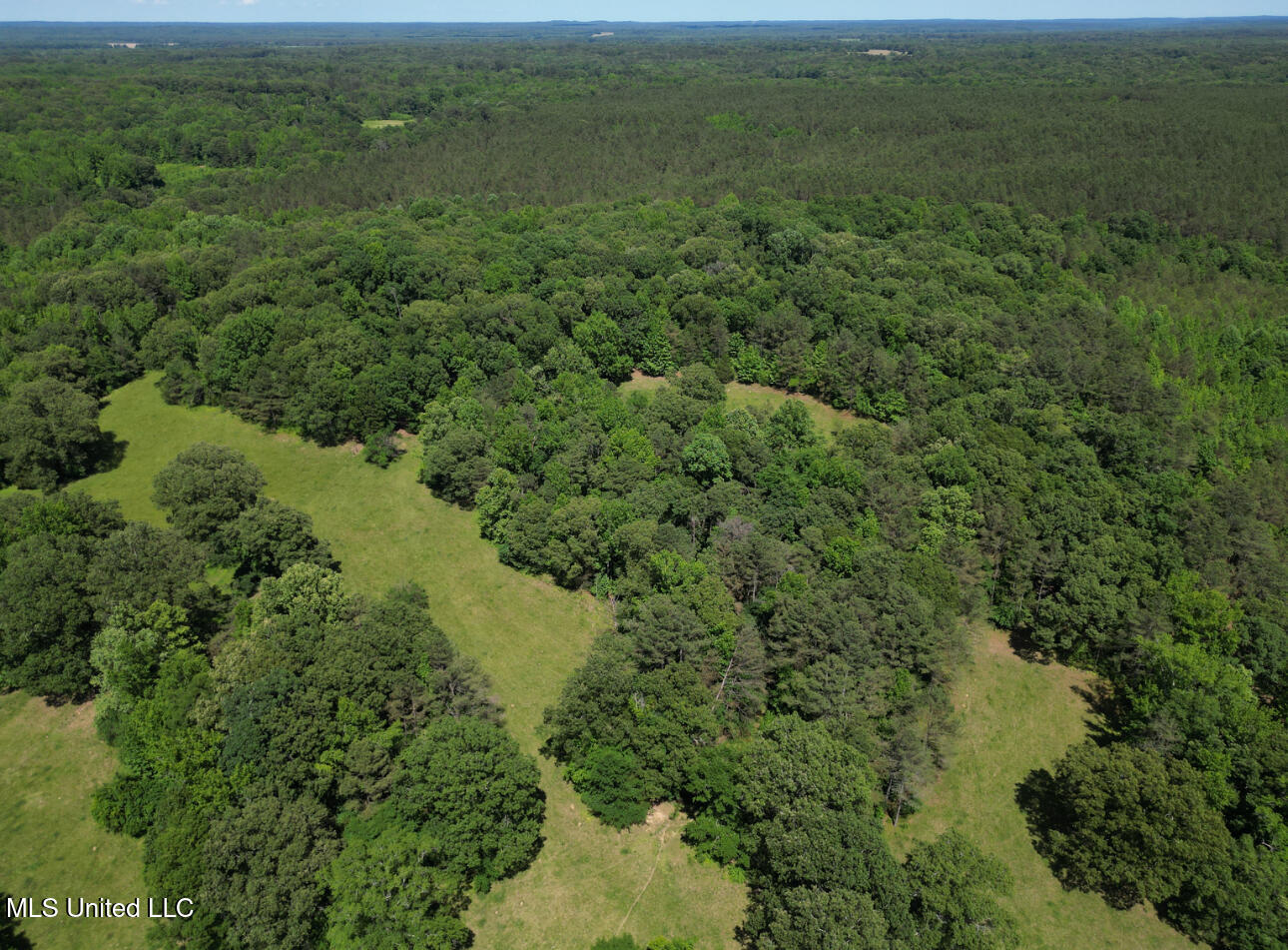 Curtis Road, Lamar, Mississippi image 21