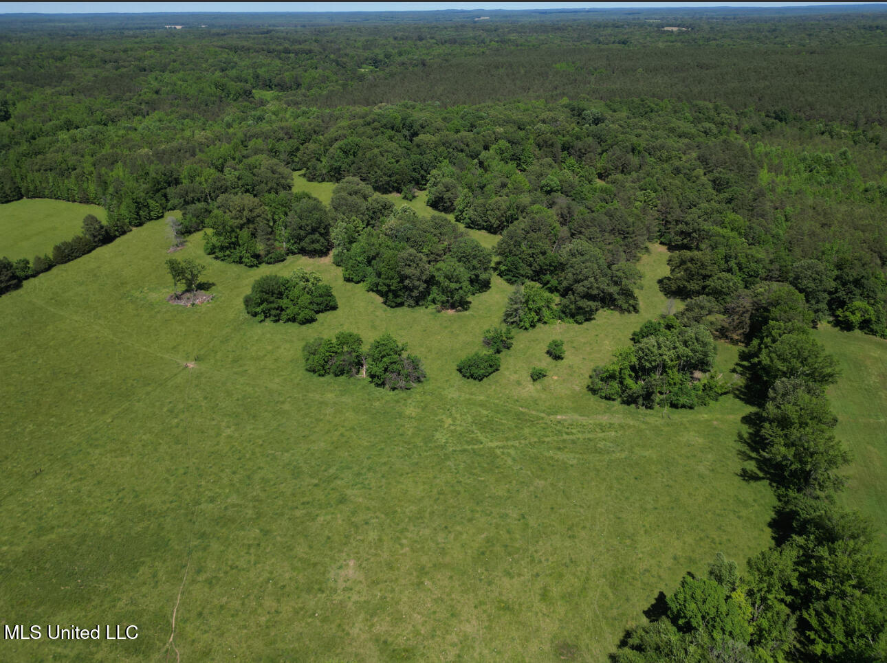 Curtis Road, Lamar, Mississippi image 18